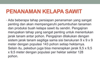 PENANAMAN KELAPA SAWIT
• Ada beberapa tahap persiapan penanaman yang sangat
penting dan akan mempengaruhi pertumbuhan tanaman
dan produksi buah kelapa sawit itu sendiri. Pengajiran
merupakan tahap yang sangat penting untuk menentukan
jarak tanam antar pohon. Pengajiran dilakukan dengan
sistem jarak tanam segitiga sama sisi berukuran 9 x 9 x 9
meter dengan populasi 143 pohon setiap hektarnya.
Selain itu, pekebun juga bisa menerapkan jarak 9,5 x 9,5
x 9,5 meter dengan populasi per hektar sekitar 128
pohon.
 