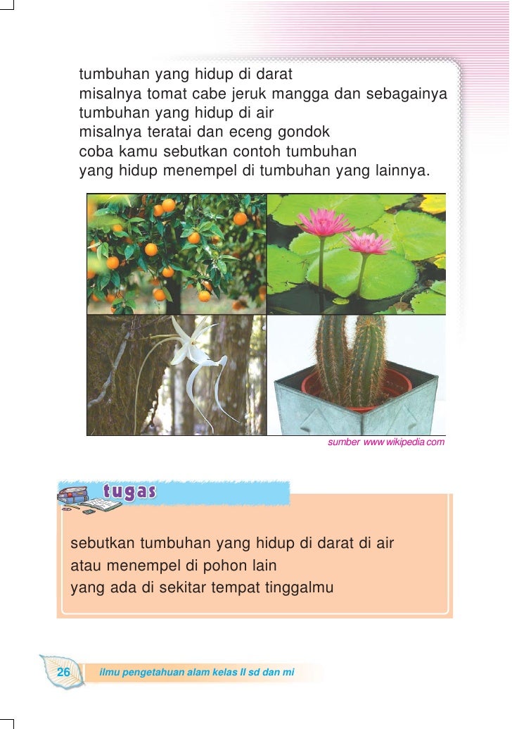 Kelas Ii Sd Ipa Heri Sulistyanto