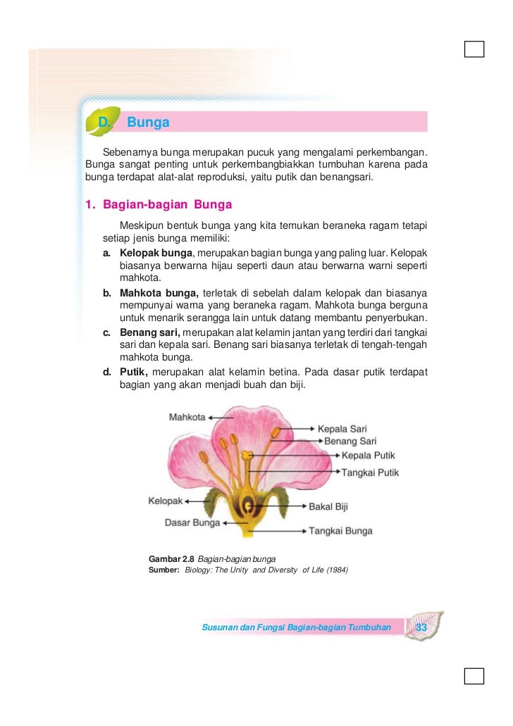 Ipa Sd 4