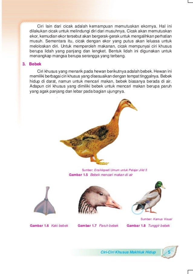 Kelas Vi Sd Ipa Heri Sulistyanto