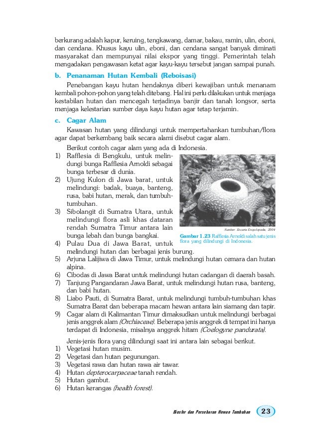 Kelas Xi Smageografi2danangendarto