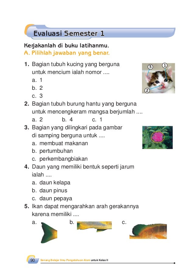 Materi IPA kelas 2 MI