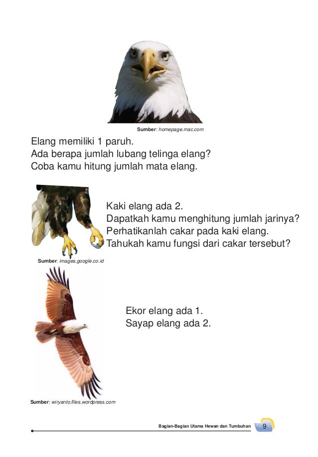 Kelas02 senang belajar-ipa-rositawaty