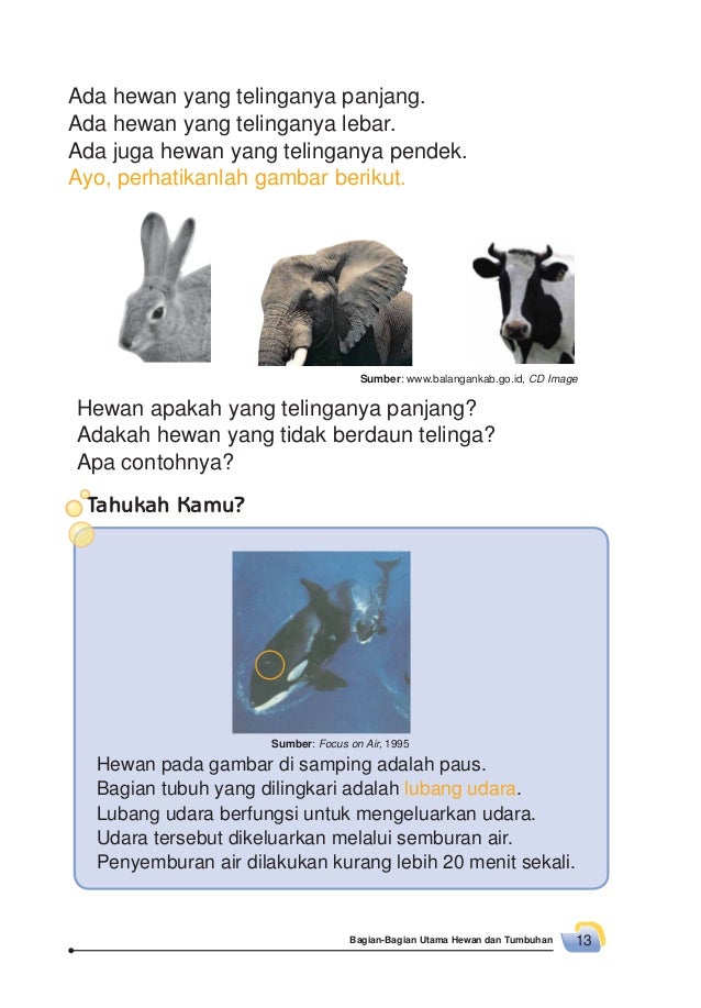 Kelas02 Senang Belajar Ipa Rositawaty