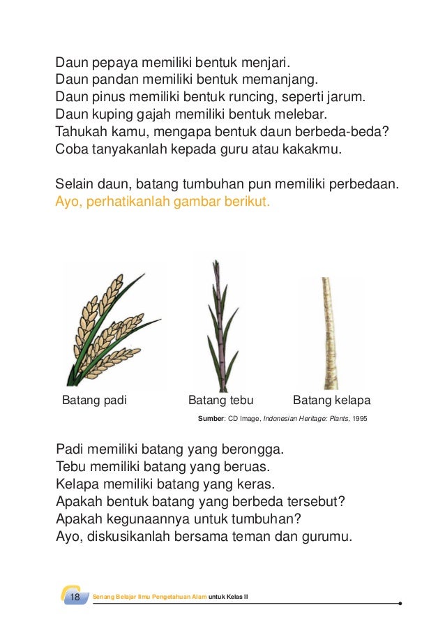 Kelas02 Senang Belajariparositawaty002 52714741