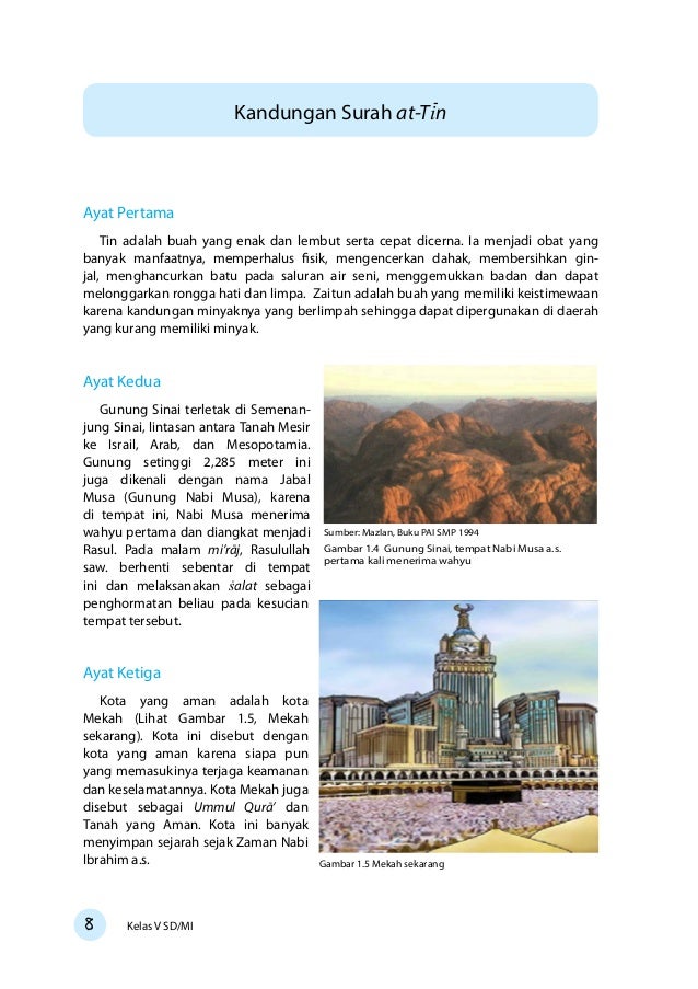 Gambar Buah Zaitun Kelas 05 sd pendidikan agama islam dan budi pekerti siswa