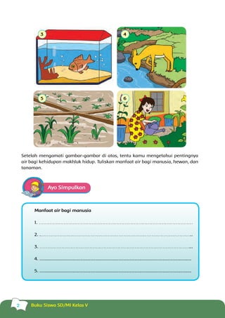 510 Koleksi Gambar Manfaat Air Bagi Hewan Gratis Terbaru