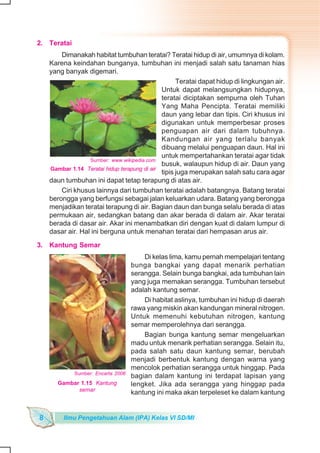 Jelaskan lingkungan hidup bunga raflesia