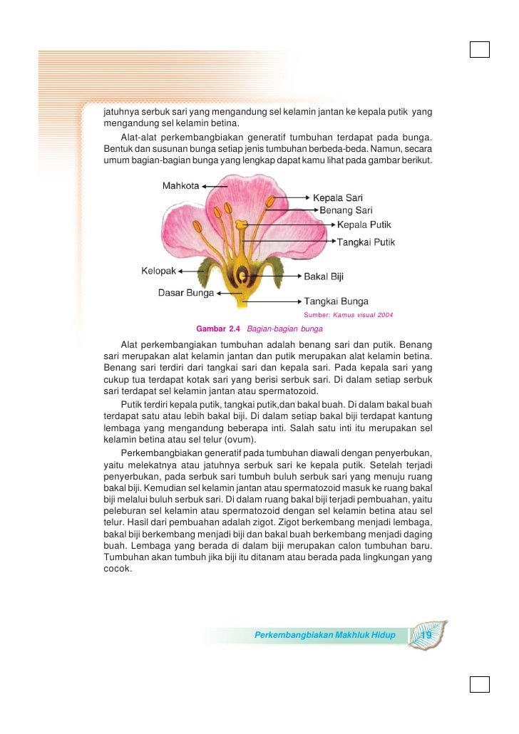 19 tabel bunga sulistyanto heri alam pengetahuan Kelas06 ilmu 19 tabel bunga sulistyanto heri alam pengetahuan Kelas06 ilmu