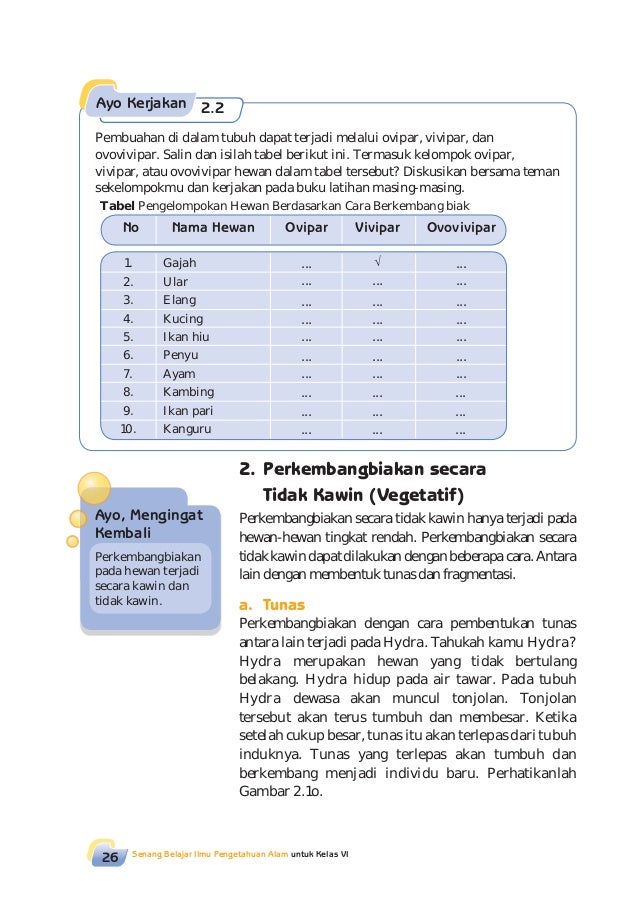 Kelas06 Senang Belajariparositawaty 31202758