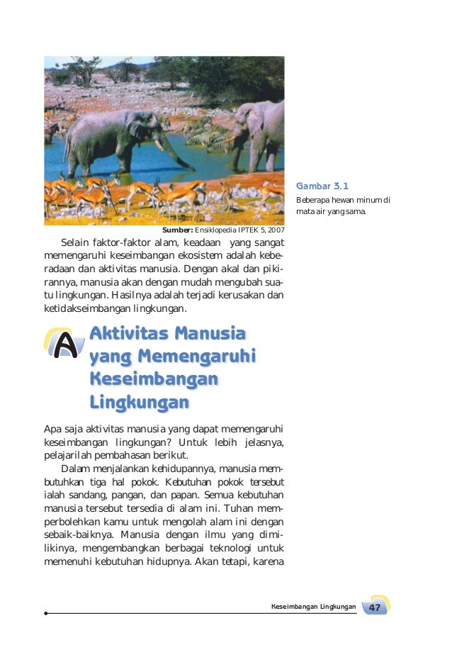Kelas06 Senang Belajariparositawaty 31202758