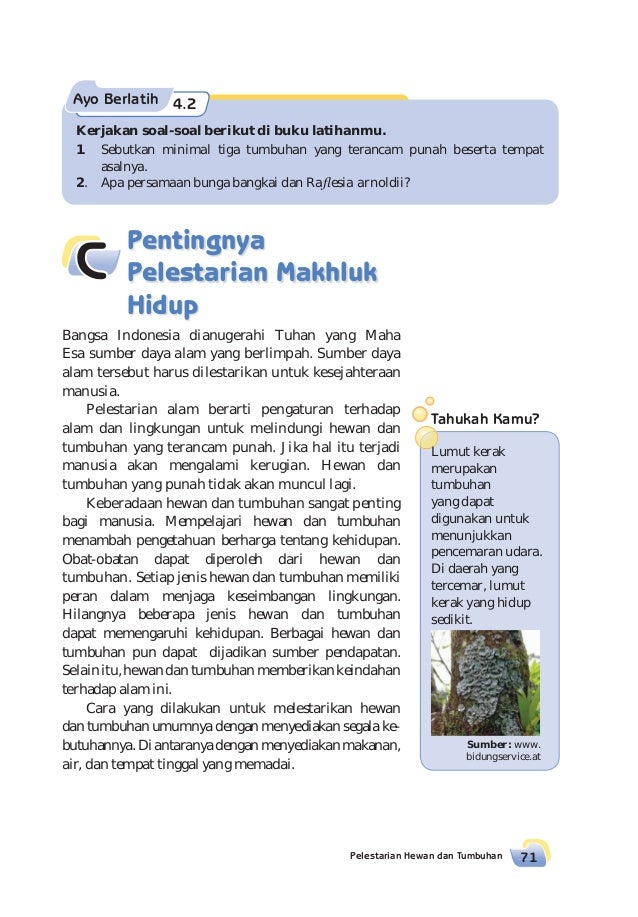 Kelas06 senang belajar ipa rositawaty Kelas06 senang belajar ipa rositawaty