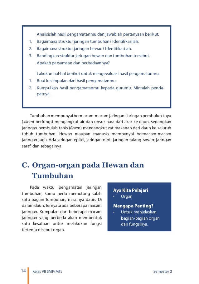 Kelas 07 Smp Ipa Semester 2 Siswa 2016