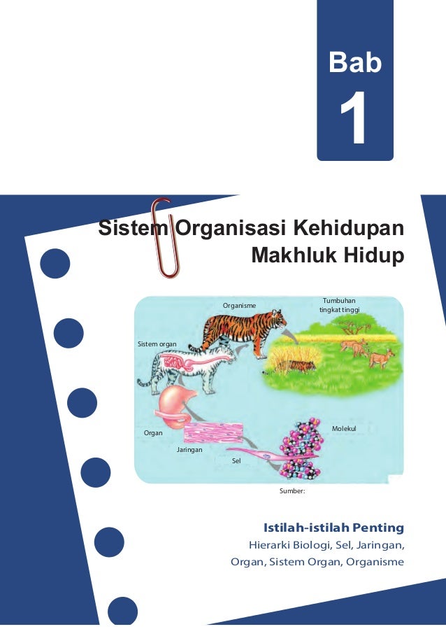 Kelas 07 Smp Ipa Semester 2 Siswa 2016