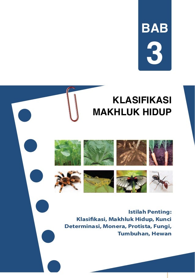 Buku Siswa Kurikulum 2013 Kelas 7 Smp Ipa