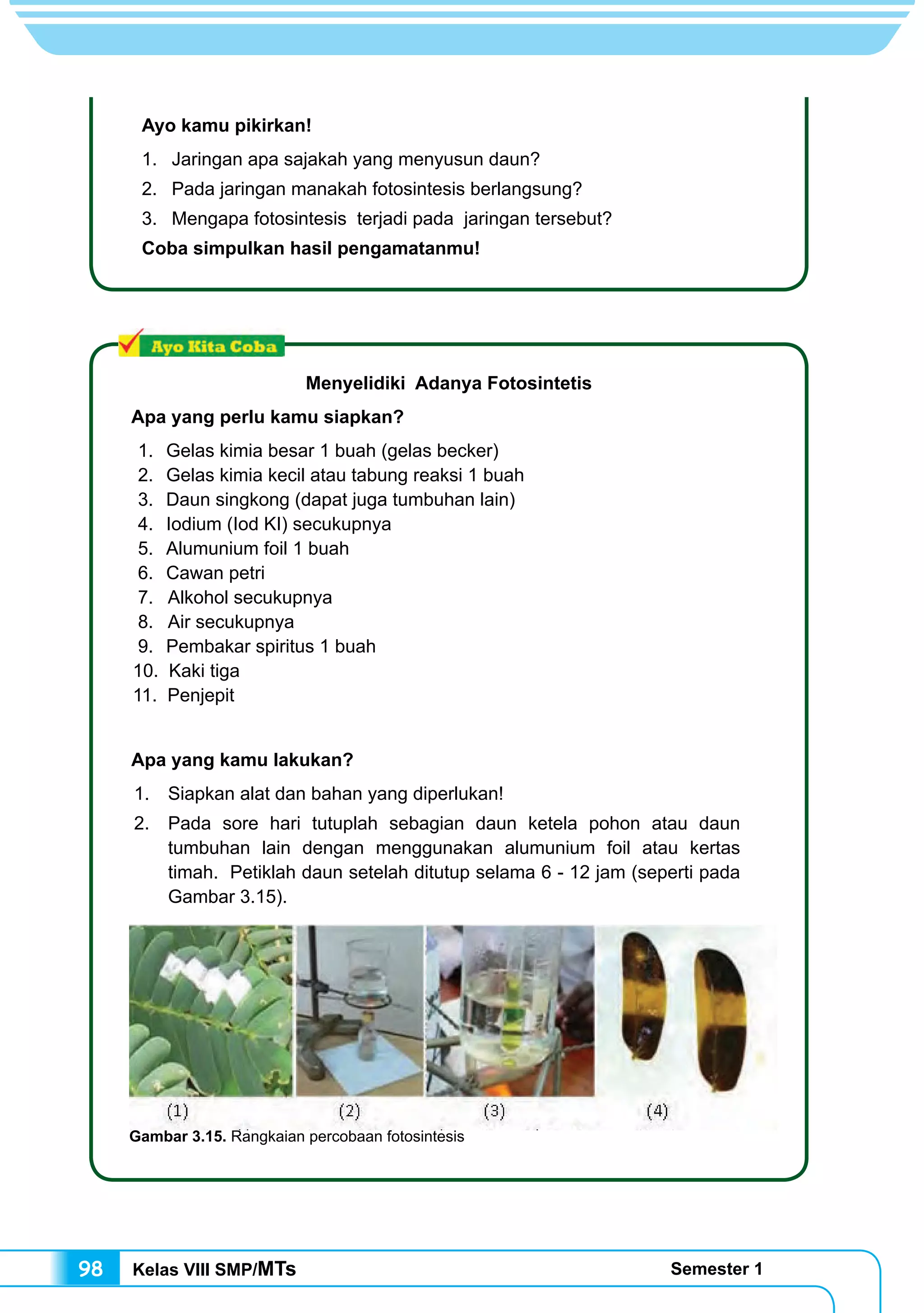 Kelas VIII SMP/MTs Semester 198
Ayo kamu pikirkan!
1.	 Jaringan apa sajakah yang menyusun daun?
2.	 Pada jaringan manakah fotosintesis berlangsung?
3.	 Mengapa fotosintesis terjadi pada jaringan tersebut?
Coba simpulkan hasil pengamatanmu!
Menyelidiki Adanya Fotosintetis
Apa yang perlu kamu siapkan?
1.	 Gelas kimia besar 1 buah (gelas becker)
2.	 Gelas kimia kecil atau tabung reaksi 1 buah
3.	 Daun singkong (dapat juga tumbuhan lain)
4.	 Iodium (Iod KI) secukupnya
5.	 Alumunium foil 1 buah
6.	 Cawan petri
7. Alkohol secukupnya
8. Air secukupnya
9.	 Pembakar spiritus 1 buah
10. Kaki tiga
11. Penjepit
Apa yang kamu lakukan?
1.	 Siapkan alat dan bahan yang diperlukan!
2.	 Pada sore hari tutuplah sebagian daun ketela pohon atau daun
tumbuhan lain dengan menggunakan alumunium foil atau kertas
timah. Petiklah daun setelah ditutup selama 6 - 12 jam (seperti pada
Gambar 3.15).
Gambar 3.15. Rangkaian percobaan fotosintesis
 