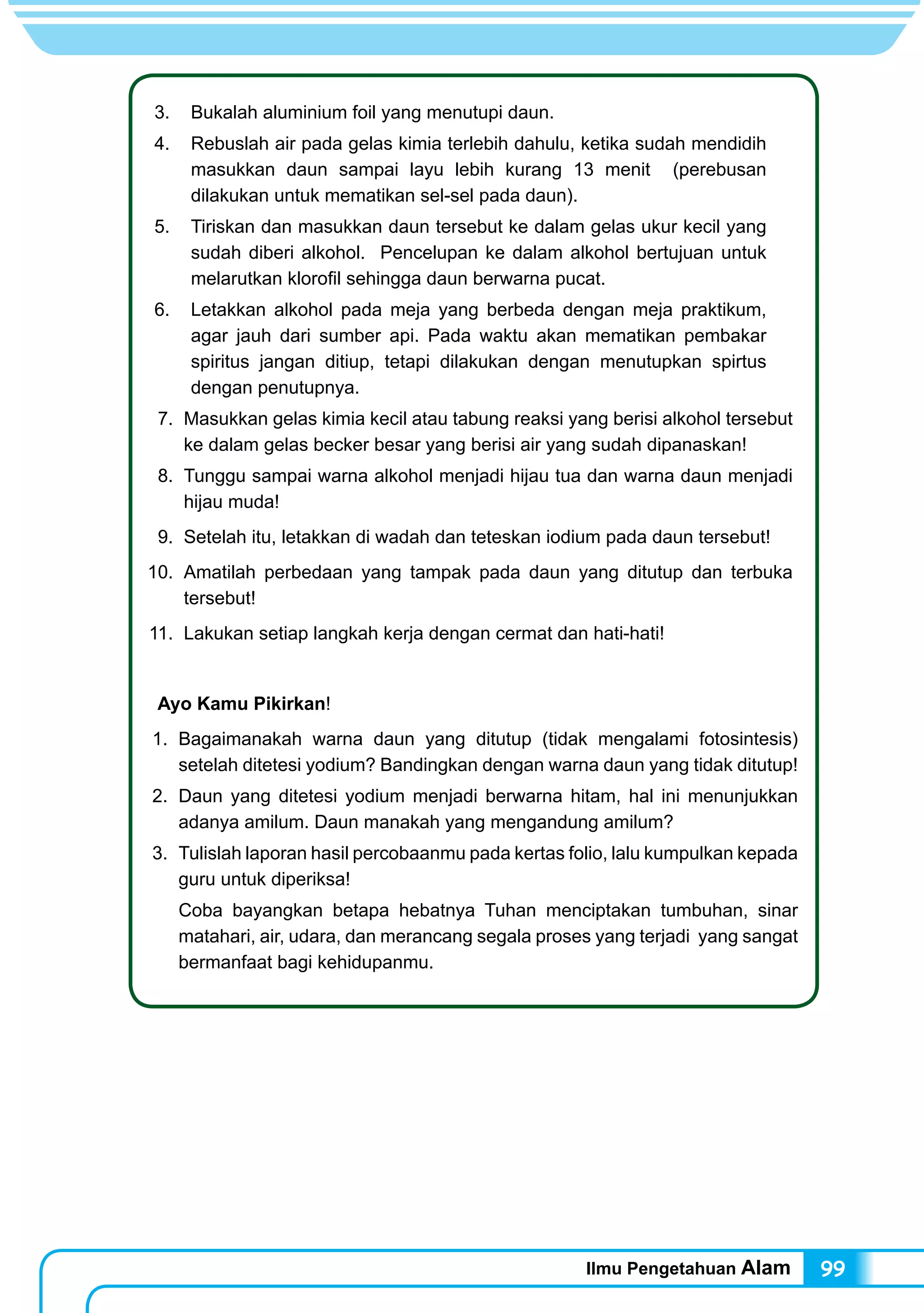 Ilmu Pengetahuan Alam 99
3.	 Bukalah aluminium foil yang menutupi daun.
4.	 Rebuslah air pada gelas kimia terlebih dahulu, ketika sudah mendidih
masukkan daun sampai layu lebih kurang 13 menit (perebusan
dilakukan untuk mematikan sel-sel pada daun).
5.	 Tiriskan dan masukkan daun tersebut ke dalam gelas ukur kecil yang
sudah diberi alkohol. Pencelupan ke dalam alkohol bertujuan untuk
melarutkan klorofil sehingga daun berwarna pucat.
6.	 Letakkan alkohol pada meja yang berbeda dengan meja praktikum,
agar jauh dari sumber api. Pada waktu akan mematikan pembakar
spiritus jangan ditiup, tetapi dilakukan dengan menutupkan spirtus
dengan penutupnya.
7.	 Masukkan gelas kimia kecil atau tabung reaksi yang berisi alkohol tersebut
ke dalam gelas becker besar yang berisi air yang sudah dipanaskan!
8.	 Tunggu sampai warna alkohol menjadi hijau tua dan warna daun menjadi
hijau muda!
9.	 Setelah itu, letakkan di wadah dan teteskan iodium pada daun tersebut!
10.	 Amatilah perbedaan yang tampak pada daun yang ditutup dan terbuka
tersebut!
11.	 Lakukan setiap langkah kerja dengan cermat dan hati-hati!
Ayo Kamu Pikirkan!
1.	Bagaimanakah warna daun yang ditutup (tidak mengalami fotosintesis)
setelah ditetesi yodium? Bandingkan dengan warna daun yang tidak ditutup!
2.	 Daun yang ditetesi yodium menjadi berwarna hitam, hal ini menunjukkan
adanya amilum. Daun manakah yang mengandung amilum?
3.	 Tulislah laporan hasil percobaanmu pada kertas folio, lalu kumpulkan kepada
guru untuk diperiksa!
	 Coba bayangkan betapa hebatnya Tuhan menciptakan tumbuhan, sinar
matahari, air, udara, dan merancang segala proses yang terjadi yang sangat
bermanfaat bagi kehidupanmu.
 