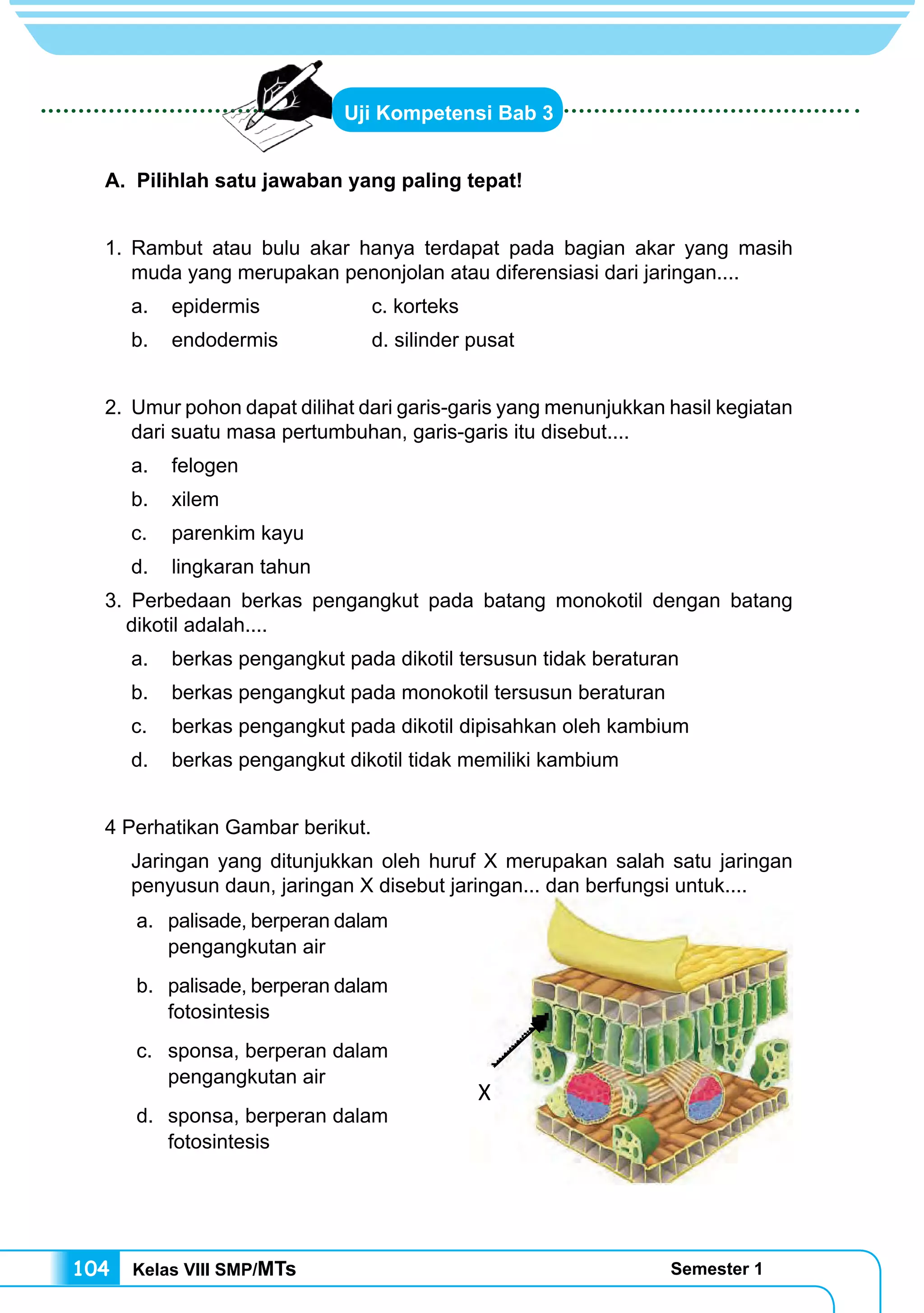 Kelas VIII SMP/MTs Semester 1104
X
Uji Kompetensi Bab 3
A. Pilihlah satu jawaban yang paling tepat!
1.	Rambut atau bulu akar hanya terdapat pada bagian akar yang masih
muda yang merupakan penonjolan atau diferensiasi dari jaringan....
a.	 epidermis		 c. korteks
b.	 endodermis 		 d. silinder pusat
2.	 Umur pohon dapat dilihat dari garis-garis yang menunjukkan hasil kegiatan
dari suatu masa pertumbuhan, garis-garis itu disebut....
a.	felogen
b.	xilem
c.	 parenkim kayu
d.	 lingkaran tahun
3. Perbedaan berkas pengangkut pada batang monokotil dengan batang
dikotil adalah....
a.	 berkas pengangkut pada dikotil tersusun tidak beraturan
b.	 berkas pengangkut pada monokotil tersusun beraturan
c.	 berkas pengangkut pada dikotil dipisahkan oleh kambium
d.	 berkas pengangkut dikotil tidak memiliki kambium
4 Perhatikan Gambar berikut.
Jaringan yang ditunjukkan oleh huruf X merupakan salah satu jaringan
penyusun daun, jaringan X disebut jaringan... dan berfungsi untuk....
a.	 palisade, berperan dalam
pengangkutan air
b.	 palisade, berperan dalam
fotosintesis
c.	 sponsa, berperan dalam
pengangkutan air
d.	 sponsa, berperan dalam
fotosintesis
 