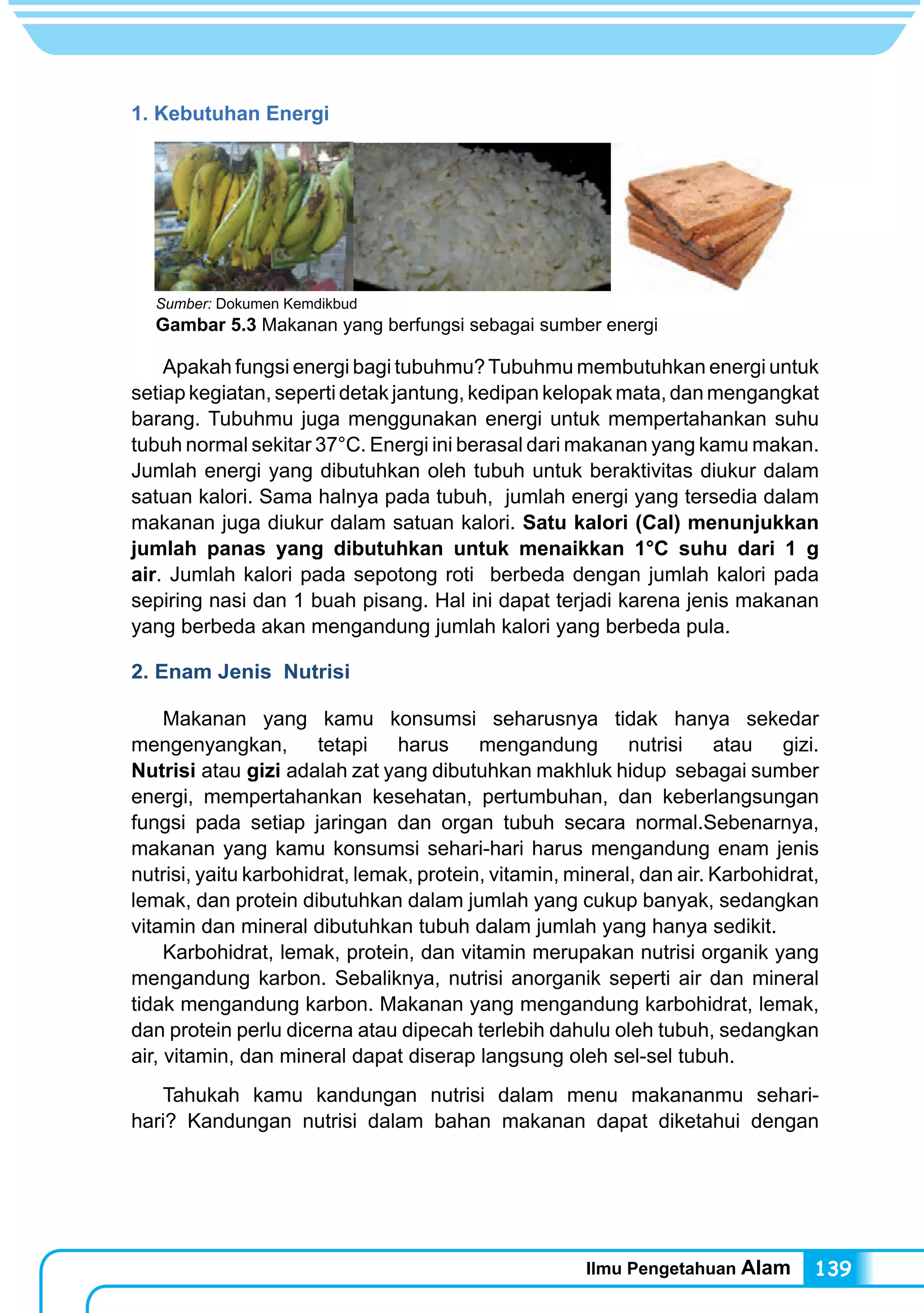 Ilmu Pengetahuan Alam 139
1. Kebutuhan Energi
	 Apakah fungsi energi bagi tubuhmu?Tubuhmu membutuhkan energi untuk
setiap kegiatan, seperti detak jantung, kedipan kelopak mata, dan mengangkat
barang. Tubuhmu juga menggunakan energi untuk mempertahankan suhu
tubuh normal sekitar 37°C. Energi ini berasal dari makanan yang kamu makan.
Jumlah energi yang dibutuhkan oleh tubuh untuk beraktivitas diukur dalam
satuan kalori. Sama halnya pada tubuh, jumlah energi yang tersedia dalam
makanan juga diukur dalam satuan kalori. Satu kalori (Cal) menunjukkan
jumlah panas yang dibutuhkan untuk menaikkan 1°C suhu dari 1 g
air. Jumlah kalori pada sepotong roti berbeda dengan jumlah kalori pada
sepiring nasi dan 1 buah pisang. Hal ini dapat terjadi karena jenis makanan
yang berbeda akan mengandung jumlah kalori yang berbeda pula.
2. Enam Jenis Nutrisi
	 Makanan yang kamu konsumsi seharusnya tidak hanya sekedar
mengenyangkan, tetapi harus mengandung nutrisi atau gizi.
Nutrisi atau gizi adalah zat yang dibutuhkan makhluk hidup sebagai sumber
energi, mempertahankan kesehatan, pertumbuhan, dan keberlangsungan
fungsi pada setiap jaringan dan organ tubuh secara normal.Sebenarnya,
makanan yang kamu konsumsi sehari-hari harus mengandung enam jenis
nutrisi, yaitu karbohidrat, lemak, protein, vitamin, mineral, dan air. Karbohidrat,
lemak, dan protein dibutuhkan dalam jumlah yang cukup banyak, sedangkan
vitamin dan mineral dibutuhkan tubuh dalam jumlah yang hanya sedikit.	
	 Karbohidrat, lemak, protein, dan vitamin merupakan nutrisi organik yang
mengandung karbon. Sebaliknya, nutrisi anorganik seperti air dan mineral
tidak mengandung karbon. Makanan yang mengandung karbohidrat, lemak,
dan protein perlu dicerna atau dipecah terlebih dahulu oleh tubuh, sedangkan
air, vitamin, dan mineral dapat diserap langsung oleh sel-sel tubuh.
	 Tahukah kamu kandungan nutrisi dalam menu makananmu sehari-
hari? Kandungan nutrisi dalam bahan makanan dapat diketahui dengan
Sumber: Dokumen Kemdikbud
Gambar 5.3 Makanan yang berfungsi sebagai sumber energi
 