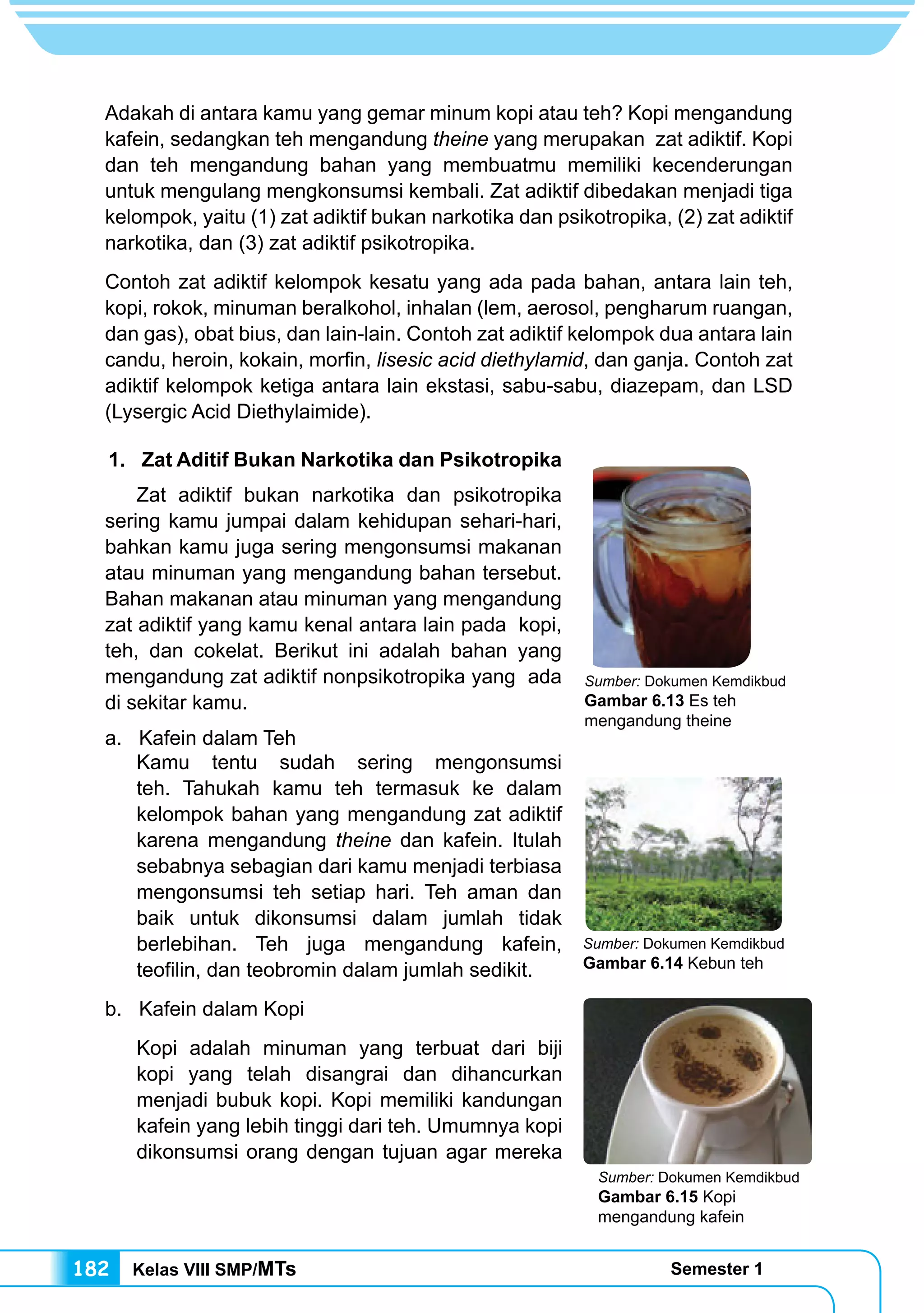Kelas VIII SMP/MTs Semester 1182
Adakah di antara kamu yang gemar minum kopi atau teh? Kopi mengandung
kafein, sedangkan teh mengandung theine yang merupakan zat adiktif. Kopi
dan teh mengandung bahan yang membuatmu memiliki kecenderungan
untuk mengulang mengkonsumsi kembali. Zat adiktif dibedakan menjadi tiga
kelompok, yaitu (1) zat adiktif bukan narkotika dan psikotropika, (2) zat adiktif
narkotika, dan (3) zat adiktif psikotropika.
Contoh zat adiktif kelompok kesatu yang ada pada bahan, antara lain teh,
kopi, rokok, minuman beralkohol, inhalan (lem, aerosol, pengharum ruangan,
dan gas), obat bius, dan lain-lain. Contoh zat adiktif kelompok dua antara lain
candu, heroin, kokain, morfin, lisesic acid diethylamid, dan ganja. Contoh zat
adiktif kelompok ketiga antara lain ekstasi, sabu-sabu, diazepam, dan LSD
(Lysergic Acid Diethylaimide).
1.	 Zat Aditif Bukan Narkotika dan Psikotropika
	 Zat adiktif bukan narkotika dan psikotropika
sering kamu jumpai dalam kehidupan sehari-hari,
bahkan kamu juga sering mengonsumsi makanan
atau minuman yang mengandung bahan tersebut.
Bahan makanan atau minuman yang mengandung
zat adiktif yang kamu kenal antara lain pada kopi,
teh, dan cokelat. Berikut ini adalah bahan yang
mengandung zat adiktif nonpsikotropika yang ada
di sekitar kamu.
a. Kafein dalam Teh
	 Kamu tentu sudah sering mengonsumsi
teh. Tahukah kamu teh termasuk ke dalam
kelompok bahan yang mengandung zat adiktif
karena mengandung theine dan kafein. Itulah
sebabnya sebagian dari kamu menjadi terbiasa
mengonsumsi teh setiap hari. Teh aman dan
baik untuk dikonsumsi dalam jumlah tidak
berlebihan. Teh juga mengandung kafein,
teofilin, dan teobromin dalam jumlah sedikit.
b. Kafein dalam Kopi
	 Kopi adalah minuman yang terbuat dari biji
kopi yang telah disangrai dan dihancurkan
menjadi bubuk kopi. Kopi memiliki kandungan
kafein yang lebih tinggi dari teh. Umumnya kopi
dikonsumsi orang dengan tujuan agar mereka
Sumber: Dokumen Kemdikbud
Gambar 6.13 Es teh
mengandung theine
Sumber: Dokumen Kemdikbud
Gambar 6.14 Kebun teh
Sumber: Dokumen Kemdikbud
Gambar 6.15 Kopi
mengandung kafein
 
