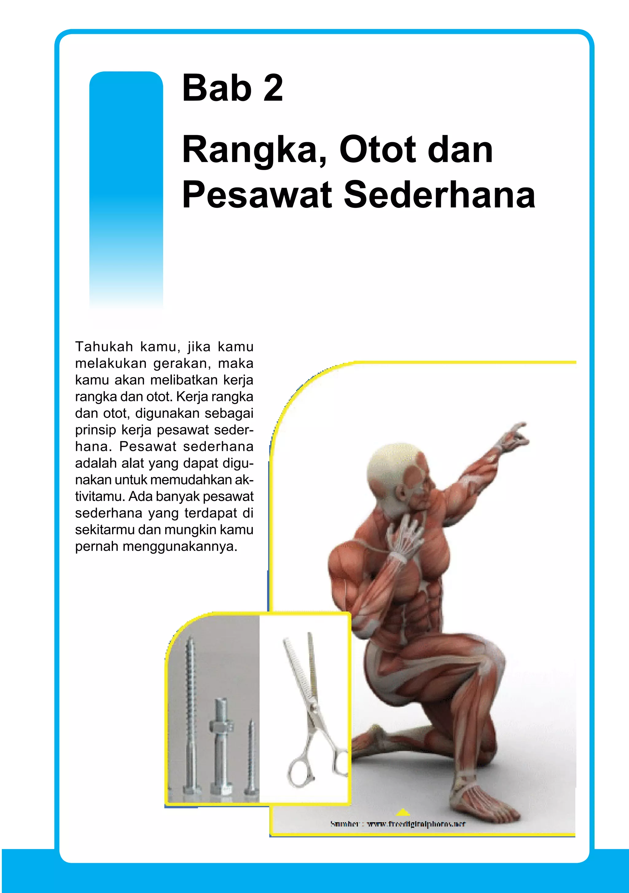 Ilmu Pengetahuan Alam 43
Rangka, Otot dan
Pesawat Sederhana
Bab 2
Tahukah kamu, jika kamu
melakukan gerakan, maka
kamu akan melibatkan kerja
rangka dan otot. Kerja rangka
dan otot, digunakan sebagai
prinsip kerja pesawat seder-
hana. Pesawat sederhana
adalah alat yang dapat digu-
nakan untuk memudahkan ak-
tivitamu. Ada banyak pesawat
sederhana yang terdapat di
sekitarmu dan mungkin kamu
pernah menggunakannya.
 