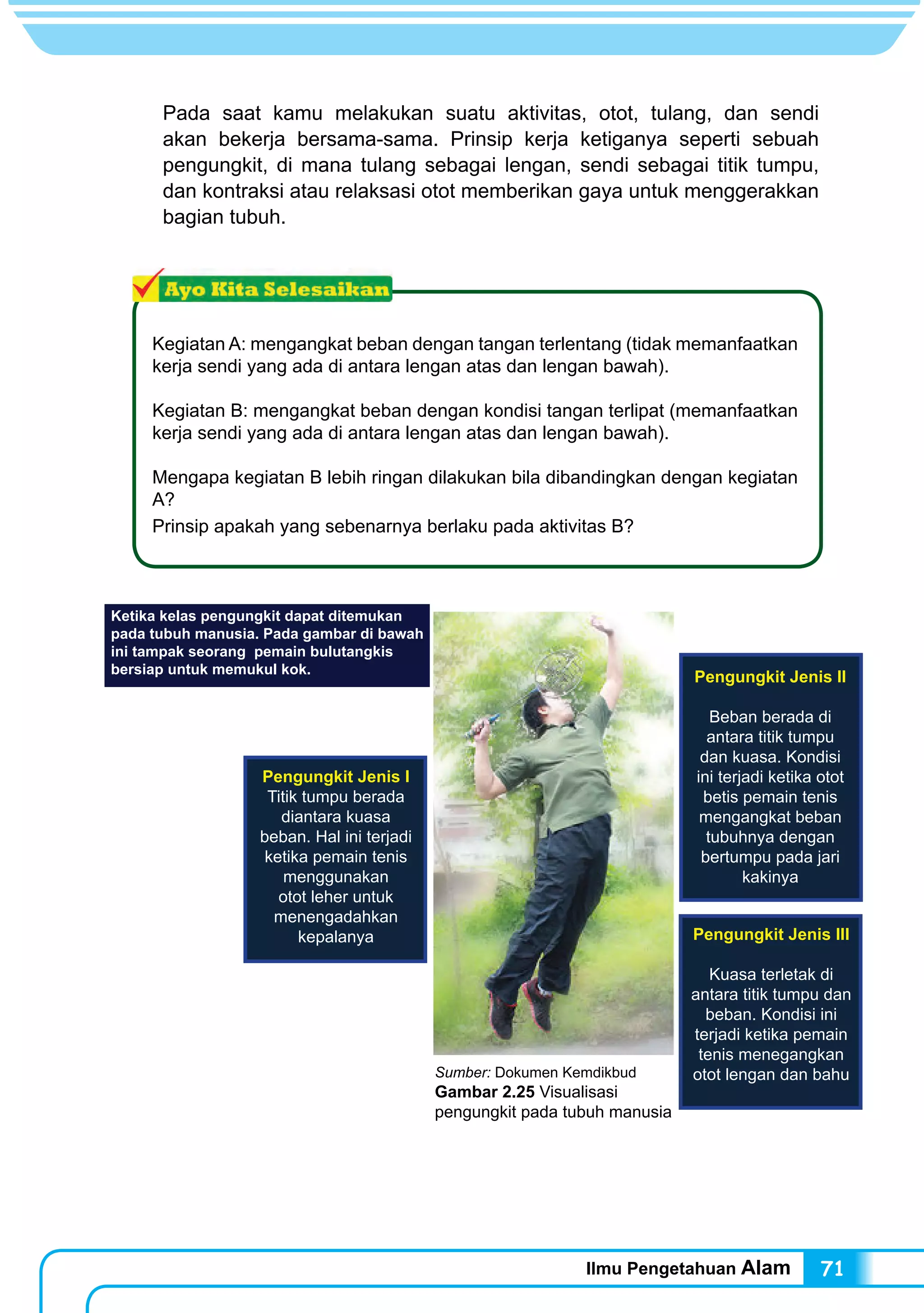 Ilmu Pengetahuan Alam 71
Pada saat kamu melakukan suatu aktivitas, otot, tulang, dan sendi
akan bekerja bersama-sama. Prinsip kerja ketiganya seperti sebuah
pengungkit, di mana tulang sebagai lengan, sendi sebagai titik tumpu,
dan kontraksi atau relaksasi otot memberikan gaya untuk menggerakkan
bagian tubuh.
Kegiatan A: mengangkat beban dengan tangan terlentang (tidak memanfaatkan
kerja sendi yang ada di antara lengan atas dan lengan bawah).
Kegiatan B: mengangkat beban dengan kondisi tangan terlipat (memanfaatkan
kerja sendi yang ada di antara lengan atas dan lengan bawah).
Mengapa kegiatan B lebih ringan dilakukan bila dibandingkan dengan kegiatan
A?
Prinsip apakah yang sebenarnya berlaku pada aktivitas B?
Sumber: Dokumen Kemdikbud
Gambar 2.25 Visualisasi
pengungkit pada tubuh manusia
Ketika kelas pengungkit dapat ditemukan
pada tubuh manusia. Pada gambar di bawah
ini tampak seorang pemain bulutangkis
bersiap untuk memukul kok.
Pengungkit Jenis I
Titik tumpu berada
diantara kuasa
beban. Hal ini terjadi
ketika pemain tenis
menggunakan
otot leher untuk
menengadahkan
kepalanya Pengungkit Jenis III
Kuasa terletak di
antara titik tumpu dan
beban. Kondisi ini
terjadi ketika pemain
tenis menegangkan
otot lengan dan bahu
Pengungkit Jenis II
Beban berada di
antara titik tumpu
dan kuasa. Kondisi
ini terjadi ketika otot
betis pemain tenis
mengangkat beban
tubuhnya dengan
bertumpu pada jari
kakinya
 