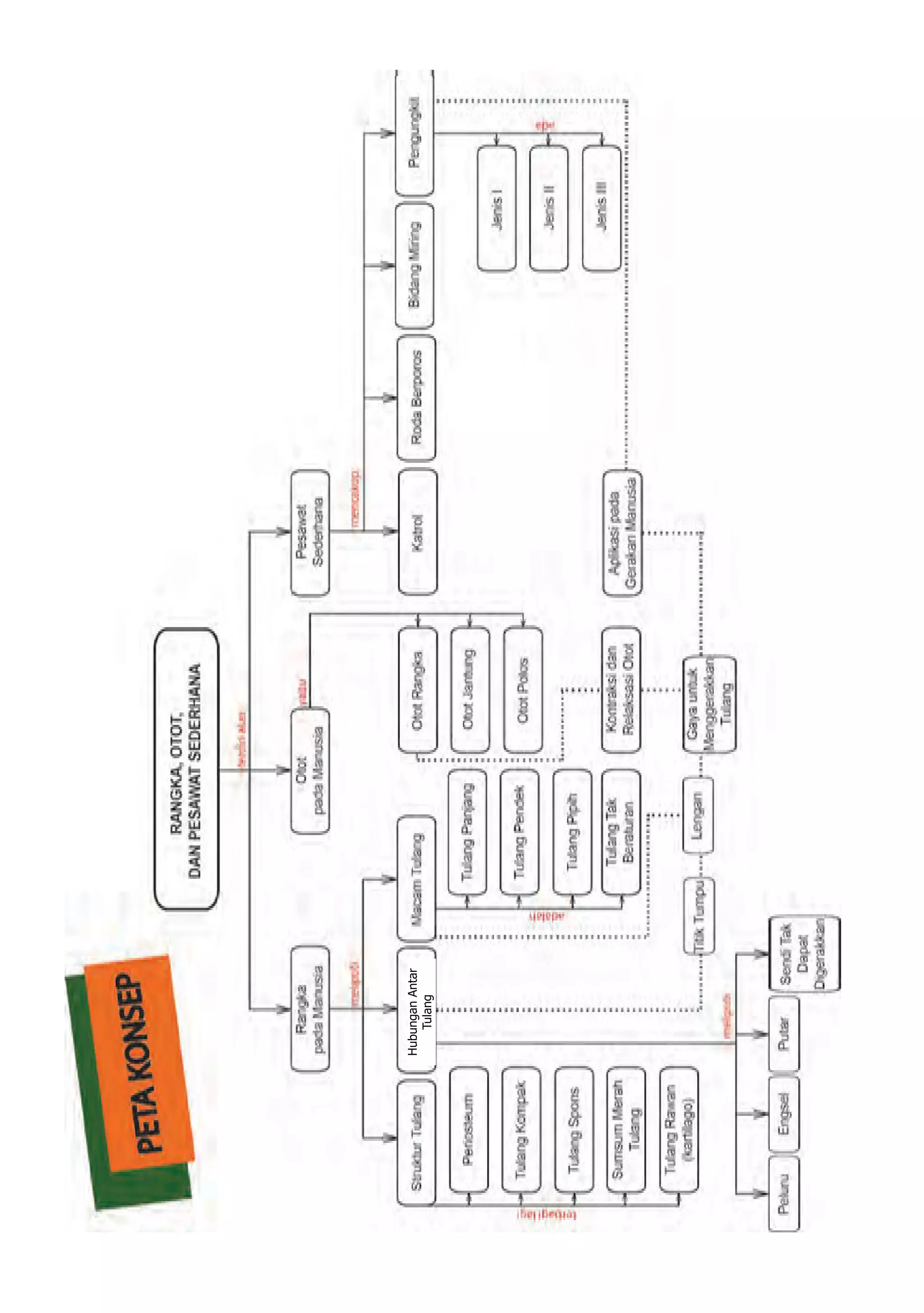 HubunganAntar
Tulang
 