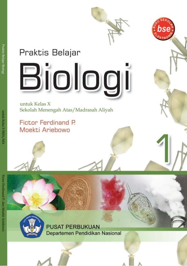 Download buku biologi kelas 11 kurikulum 2013