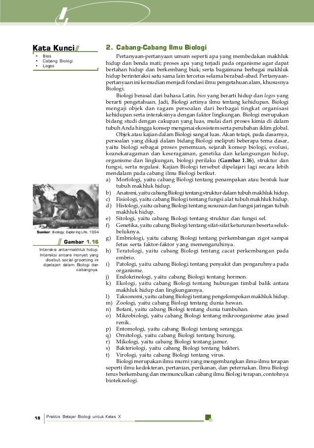 Bab 1 Biologi Kelas 10 Kurikulum 2013 - Dunia Sekolah ID