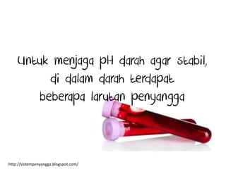 Untuk menjaga pH darah agar stabil,
di dalam darah terdapat
beberapa larutan penyangga
http://sistempenyangga.blogspot.com/
 