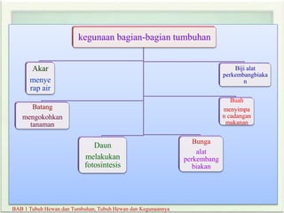 BAB 1 Tubuh Hewan dan Tumbuhan, Tubuh Hewan dan Kegunaannya
kegunaan bagian-bagian tumbuhan
Akar
menye
rap air
Batang
mengokohkan
tanaman
Daun
melakukan
fotosintesis
Bunga
alat
perkembang
biakan
Buah
menyimpa
n cadangan
makanan
Biji alat
perkembangbiaka
n
 