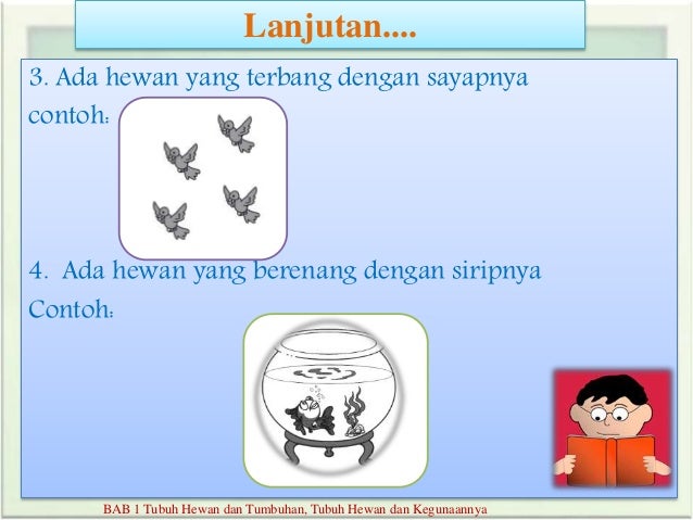 Kelas 2 ipa