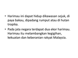 • Harimau ini dapat hidup dikawasan sejuk, di 
paya bakau, dipadang rumput atau di hutan 
tropika. 
• Pada jata negara terdapat dua ekor harimau. 
Harimau itu melambangkan kegigihan, 
kekuatan dan keberanian rakyat Malaysia. 
 