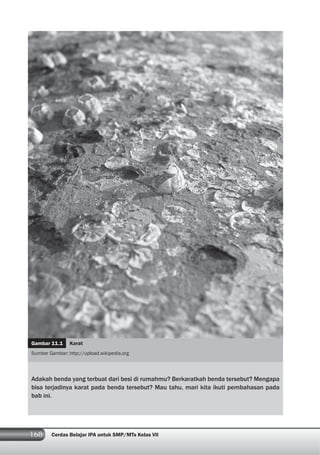 168 Cerdas Belajar IPA untuk SMP/MTs Kelas VII
Adakah benda yang terbuat dari besi di rumahmu? Berkaratkah benda tersebut? Mengapa
bisa terjadinya karat pada benda tersebut? Mau tahu, mari kita ikuti pembahasan pada
bab ini.
Gambar 11.1 Karat
Sumber Gambar: http://upload.wikipedia.org
 