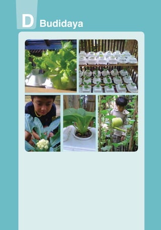 D Budidaya
Budidaya

Budidaya

Prakarya

101

117

 