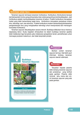 Informasi untuk Guru

Tanaman sayuran termasuk tanaman hortikultura. Hortikultura (Horticulture) berasal
dari bahasa latin hortus yang artinya kebun dan colere yang artinya membudidayakan. Jadi
hortikultura adalah membudidayakan tanaman di kebun. Praktik hortikultura merupakan
tradisi yang telah berkembang sejak lama. Hortikultura merupakan perpaduan antara
ilmu, teknologi, seni, dan ekonomi. Praktik hortikultura modern berkembang berdasarkan
pengembangan ilmu yang menghasilkan teknologi untuk memproduksi dan menangani
komoditas hortikultura.
Tanaman sayuran dibudidayakan secara intensif. Budidaya dilakukan terus menerus
sepanjang tahun. Suatu kegiatan dimasukkan ke dalam budidaya tanaman apabila
telah melakukan tiga hal pokok yaitu melakukan pengolahan tanah, pemeliharaan untuk
mencapai produksi maksimum, dan tidak berpindah pindah.

Pengayaan

Berikan contoh tanaman
sayuran lainnya. Gali lebih jauh
informasi tentang tanaman
sayuran daerah setempat.

Bab

V

Budidaya
Tanaman Sayuran

Remedial

Tanyakan kepada peserta
didik tentang tanaman sayuran
dan produknya yang terlihat
pada gambar. Peserta didik
minimal tahu nama dan ciriciri tanaman sayuran yang ada
pada gambar.
	
  

(Sumber: Dokumen Kemdikbud)

Gambar 5.1 Tanaman sayuran dan produk yang dihasilkan

Tugas Individu
Amati	 Gambar	 5.1	 Pernahkah	 kamu	 melihat	 tanaman	 tersebut	 di	
lingkunganmu?	Apa	yang	kamu	ketahui	tentang	tanaman	pada	Gambar	
5.1?	 Ungkapkan	 pendapatmu,	 sampaikan	 dalam	 pembelajaran!

Prakarya

103

Prakarya

119

 