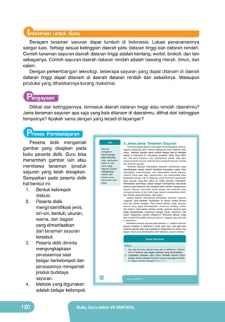 Informasi untuk Guru

Beragam tanaman sayuran dapat tumbuh di Indonesia. Lokasi penanamannya
sangat luas. Terbagi sesuai ketinggian daerah yaitu dataran tinggi dan dataran rendah.
Contoh tanaman sayuran daerah dataran tinggi adalah kentang, wortel, brokoli, dan lain
sebagainya. Contoh sayuran daerah dataran rendah adalah bawang merah, timun, dan
caisin.
Dengan perkembangan teknologi, beberapa sayuran yang dapat ditanam di daerah
dataran tinggi dapat ditanam di daerah dataran rendah dan sebaliknya. Walaupun
produksi yang dihasikannya kurang maksimal.

Pengayaan

Dilihat dari ketinggiannya, termasuk daerah dataran tinggi atau rendah daerahmu?
Jenis tanaman sayuran apa saja yang baik ditanam di daerahmu, dilihat dari ketinggian
tempatnya? Apakah sama dengan yang terjadi di lapangan?

Proses Pembelajaran

Peserta didik mengamati
gambar yang disajikan pada
buku peserta didik. Guru bisa
menambah gambar lain atau
membawa tanaman /produk
sayuran yang telah disiapkan.
Sampaikan pada peserta didik
hal berikut ini.
1.	 Bentuk kelompok
diskusi.
2.	 Peserta didik
mengindentifikasi jenis,
ciri-ciri, bentuk, ukuran,
warna, dan bagian
yang dimanfaatkan
dari tanaman sayuran
tersebut.
3.	 Peserta didik diminta
mengungkapkaan
perasaannya saat
belajar berkelompok dan
perasaannya mengamati
produk budidaya
sayuran.
4.	 Metode yang digunakan
adalah belajar kelompok.

120

Info
Sayuran	
merupakan	
bahan	 pangan	
asal	 tumbuhan	
yang	 mempunyai	
kadar	 air	 dan	
serat	 tinggi.	
Sayuran	 banyak	
mengandung	
vitamin	 dan	
mineral	 yang	
dibutuhkan	 oleh	
tubuh.

A. Jenis-Jenis Tanaman Sayuran

	 Indonesia	sebagai	daerah	tropis	dapat	membudidayakan	tanaman	
sayuran	 sepanjang	 tahun	 karena	 tersedianya	 sinar	 matahari	 yang	
cukup.	 Tanaman	 sayuran	 dapat	 tumbuh	 dengan	 baik	 di	 berbagai	
daerah	 di	 Indonesia.	 Ini	 merupakan	 anugerah	 Tuhan	 Yang	 Maha	
Esa.	 Kita	 patut	 bersyukur	 atas	 melimpahnya	 sumber	 daya	 alam	
berupa	tanaman	sayuran.	Manusia	bisa	mengambil	banyak	manfaat	
dari	 tanaman	 sayuran.	
	 Tanaman	 sayuran	 merupakan	 tanaman	 hortikultura	 yang	
dibudidayakan	 secara	 intensif.	 Budidaya	 merupakan	 usaha	 untuk	
menambah,	 menumbuhkan,	 dan	 mewujudkan	 benda	 ataupun	
makhluk	 hidup	 agar	 lebih	 besar/tumbuh	 dan	 berkembang	 biak/
bertambah	 banyak.	 Hal	 ini	 dilakukan	 untuk	 memenuhi	 permintaan	
akan	 sayuran	 yang	 dari	 waktu	 ke	 waktu	 semakin	 meningkat.	
Peningkatan	 permintaan	 sejalan	 dengan	 meningkatnya	 kebutuhan	
karena	jumlah	penduduk	dan	kesadaran	akan	manfaat	mengonsumsi	
sayuran.	 Sayuran	 merupakan	 bahan	 pangan	 asal	 tumbuhan	 yang	
mempunyai	kadar	air	dan	serat	tinggi,	banyak	mengandung	vitamin	
dan	 mineral	 yang	 dibutuhkan	 oleh	 tubuh.
	 Setiap	 daerah	 mempunyai	 komoditas	 tanaman	 sayuran	
unggulan	 yang	 berbeda.	 Perbedaan	 ini	 terjadi	 karena	 kondisi	
alam	 tiap	 daerah	 beragam.	 Pada	 daerah	 dataran	 tinggi,	 tanaman	
sayuran	 yang	 dapat	 dibudidayakan	 contohnya:	 kentang,	 wortel,	
dan	 brokoli.	 Pada	 daerah	 dataran	 rendah,	 tanaman	 sayuran	 yang	
dapat	 dibudidayakan	 contohnya:	 bawang	 merah,	 mentimun,	 dan	
caisim.	 Bagaimana	 kondisi	 wilayahmu?	 Termasuk	 dataran	 tinggi	
atau	rendah?	Komoditas	tanaman	sayuran	unggulan	apa	yang	ada	
di	 daerahmu?	
Perhatikan	tanaman	sayuran	pada	Gambar	5.1.	Adakah	tanaman	
sayuran	 tersebut	 di	 daerahmu?	 Amati	 lebih	 jauh,	 apa	 saja	 jenis	
tanaman	sayuran	yang	ada	di	sekitarmu.	Bagaimana	ciri-cirinya,	dan	
bagian	 mana	 yang	 dimanfaatkan	 dari	 tanaman	 sayuran	 tersebut.

Tugas Kelompok
Diskusi
1.	 Apa	 saja	 tanaman	 sayuran	 yang	 ada	 di	 sekitarmu?	 Tuliskan	
ciri-ciri	 tanaman	 dan	 bagian	 tanaman	 yang	 dimanfaatkan.
2.	 Ungkapkan	 perasaan	 yang	 timbul	 terhadap	 karunia	 Tuhan	
dengan	adanya	beragam	tanaman	sayuran	yang	dapat	tumbuh	
di	 negara	 tercinta	 Indonesia	 (lihat	 LK-1).

104

Kelas VII SMP/MTs

Buku Guru kelas VII SMP/MTs

 