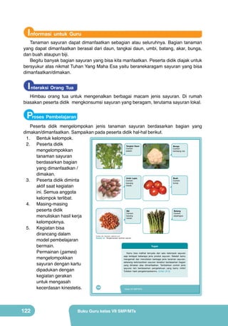 Informasi untuk Guru

Tanaman sayuran dapat dimanfaatkan sebagian atau seluruhnya. Bagian tanaman
yang dapat dimanfaatkan berasal dari daun, tangkai daun, umbi, batang, akar, bunga,
dan buah ataupun biji.
Begitu banyak bagian sayuran yang bisa kita manfaatkan. Peserta didik diajak untuk
bersyukur atas nikmat Tuhan Yang Maha Esa yaitu beranekaragam sayuran yang bisa
dimanfaatkan/dimakan.

I nteraksi Orang Tua

Himbau orang tua untuk mengenalkan berbagai macam jenis sayuran. Di rumah
biasakan peserta didik mengkonsumsi sayuran yang beragam, terutama sayuran lokal.

Proses Pembelajaran
Peserta didik mengelompokan jenis tanaman sayuran berdasarkan bagian yang
dimakan/dimanfaatkan. Sampaikan pada peserta didik hal-hal berikut.
1.	 Bentuk kelompok.
2.	 Peserta didik
Tangkai Daun
Bunga
Contoh:	
Contoh:	
seledri.
mengelompokkan
kembang	 kol.
tanaman sayuran
berdasarkan bagian
yang dimanfaatkan /
dimakan.
Umbi Lapis
Buah
Contoh:	
Contoh:	
3.	 Peserta didik diminta
bawang	
tomat.
merah.
aktif saat kegiatan
ini. Semua anggota
kelompok terlibat.
4.	 Masing-masing
peserta didik
Biji
Batang
Contoh:	
Contoh:	
kacang	
asparagus.
menuliskan hasil kerja
merah.
kelompoknya.
5.	 Kegiatan bisa
dirancang dalam
model pembelajaran
Tugas
bermain.
Permainan (games)
Kamu	 bisa	 melihat	 ternyata	 dari	 satu	 kelompok	 sayuran	
saja	 terdapat	 beberapa	 jenis	 produk	 sayuran.	 Setelah	 kamu	
mengelompokkan
mengamati	 dan	 menuliskan	 berbagai	 jenis	 tanaman	 sayuran,	
sekarang	 kelompokkan	 sayuran	 tersebut	 berdasarkan	 bagian	
sayuran dengan kartu
yang	 dimakan	 atau	 dimanfaatkan.	 Tambahkan	 contoh	 jenis	
sayuran	 lain	 berdasarkan	 pengetahuan	 yang	 kamu	 miliki!	
dipadukan dengan
Tuliskan	 hasil	 pengelompokanmu.	 (Lihat	 LK-2)
kegiatan gerakan
untuk mengasah
106
kecerdasan kinestetis.
Kelas VII SMP/MTs
(Sumber:	 Dok.	 Kemenbud,	 vegkitchen.com)	

Gambar 5.2 	 Pengelompokan	 tanaman	 sayuran

122

Buku Guru kelas VII SMP/MTs

 