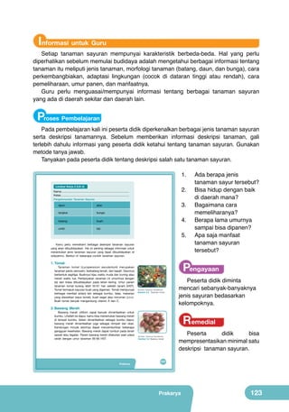 Informasi untuk Guru

Setiap tanaman sayuran mempunyai karakteristik berbeda-beda. Hal yang perlu
diperhatikan sebelum memulai budidaya adalah mengetahui berbagai informasi tentang
tanaman itu meliputi jenis tanaman, morfologi tanaman (batang, daun, dan bunga), cara
perkembangbiakan, adaptasi lingkungan (cocok di dataran tinggi atau rendah), cara
pemeliharaan, umur panen, dan manfaatnya.
Guru perlu menguasai/mempunyai informasi tentang berbagai tanaman sayuran
yang ada di daerah sekitar dan daerah lain.

Proses Pembelajaran

Pada pembelajaran kali ini peserta didik diperkenalkan berbagai jenis tanaman sayuran
serta deskripsi tanamannya. Sebelum memberikan informasi deskripsi tanaman, gali
terlebih dahulu informasi yang peserta didik ketahui tentang tanaman sayuran. Gunakan
metode tanya jawab.
Tanyakan pada peserta didik tentang deskripsi salah satu tanaman sayuran.
1.	
Lembar Kerja 2 (LK-2)

2.	

Nama:	.......................................................................................
Kelas:	 .......................................................................................
.
Pengelompokan Tanaman Sayuran

daun:

bunga:

batang:

buah:

umbi:

3.	

akar:

tangkai:

biji:

4.	
5.	

	 Kamu	 perlu	 memahami	 berbagai	 deskripsi	 tanaman	 sayuran	
yang	 akan	 dibudidayakan.	 Hal	 ini	 penting	 sebagai	 informasi	 untuk	
menentukan	 jenis	 tanaman	 sayuran	 yang	 tepat	 dibudidayakan	 di	
wilayahmu.	 Berikut	 ini	 beberapa	 contoh	 tanaman	 sayuran.	

Pengayaan

1. Tomat

Tanaman	 tomat	 ( Lycopersicon	 esculentum )	 merupakan	
tanaman	perdu	semusim,	berbatang	lemah,	dan	basah.	Daunnya	
berbentuk	segitiga.	Buahnya	hijau	waktu	muda	dan	kuning	atau	
merah	 waktu	 tua.	 Perbanyakan	 tanaman	 ini	 umumnya	 dengan	
biji	 dan	 biasa	 dibudidayakan	 pada	 lahan	 kering.	 Umur	 panen	
tanaman	 tomat	 kurang	 lebih	 55-61	 hari	 setelah	 tanam	 (HST).	
Tomat	termasuk	sayuran	buah	yang	digemari.	Tomat	mempunyai	 	
  
berbagai	 manfaat	 antara	 lain	 sebagai	 bumbu,	 lalap,	 makanan	
yang	 diawetkan	 (saus	 tomat),	 buah	 segar	 atau	 minuman (juice).	
Buah	 tomat	 banyak	 mengandung	 vitamin	 A	 dan	 C.

(Sumber: Dokumen Kemdikbud)

Gambar 5.3 Tanaman tomat

2. Bawang Merah

Bawang	 merah	 (Allium	 cepa)	 banyak	 dimanfaatkan	 untuk	
bumbu.	Lihatlah	ke	dapur,	kamu	bisa	menemukan	bawang	merah	
di	 tempat	 bumbu.	 Selain	 dimanfaatkan	 sebagai	 bumbu	 dapur,	
bawang	 merah	 dimanfaatkan	 juga	 sebagai	 rempah	 dan	 obat.	
Kandungan	 minyak	 atsirinya	 dapat	 menyembuhkan	 beberapa	
gangguan	kesehatan.	Bawang	merah	dapat	tumbuh	pada	tanah	
sawah	atau	tegalan.	Panen	bawang	merah	dilakukan	saat	udara	
cerah	 dengan	 umur	 tanaman	 65-90	 HST.

Prakarya

Ada berapa jenis
tanaman sayur tersebut?
Bisa hidup dengan baik
di daerah mana?
Bagaimana cara
memeliharanya?
Berapa lama umurnya
sampai bisa dipanen?
Apa saja manfaat
tanaman sayuran
tersebut?

Peserta didik diminta
mencari sebanyak-banyaknya
jenis sayuran bedasarkan
kelompoknya.

Remedial

(Sumber: Dokumen Kemdikbud)

Gambar 5.4 Bawang merah

Peserta
didik
bisa
mempresentasikan minimal satu
deskripsi tanaman sayuran.

107

Prakarya

123

 