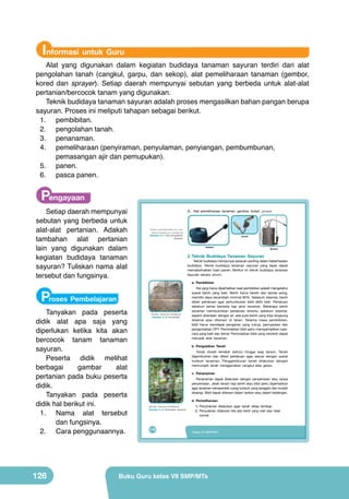 Informasi untuk Guru

Alat yang digunakan dalam kegiatan budidaya tanaman sayuran terdiri dari alat
pengolahan tanah (cangkul, garpu, dan sekop), alat pemeliharaan tanaman (gembor,
kored dan sprayer). Setiap daerah mempunyai sebutan yang berbeda untuk alat-alat
pertanian/bercocok tanam yang digunakan.
Teknik budidaya tanaman sayuran adalah proses mengasilkan bahan pangan berupa
sayuran. Proses ini meliputi tahapan sebagai berikut.
1.	 pembibitan.
2.	 pengolahan tanah.
3.	 penanaman.
4.	 pemeliharaan (penyiraman, penyulaman, penyiangan, pembumbunan,
pemasangan ajir dan pemupukan).
5.	 panen.
6.	 pasca panen.

Pengayaan

Setiap daerah mempunyai
sebutan yang berbeda untuk
alat-alat pertanian. Adakah
tambahan alat pertanian
lain yang digunakan dalam
kegiatan budidaya tanaman
sayuran? Tuliskan nama alat
tersebut dan fungsinya.

Proses Pembelajaran

Tanyakan pada peserta
didik alat apa saja yang
diperlukan ketika kita akan
bercocok tanam tanaman
sayuran.
Peserta didik melihat
berbagai
gambar
alat
pertanian pada buku peserta
didik.
Tanyakan pada peserta
didik hal berikut ini.
1.	 Nama alat tersebut
dan fungsinya.
2.	 Cara penggunaannya.

126

2)	 Alat	 pemeliharaan	 tanaman:	 gembor,	 kored,	 sprayer

(Sumber: www.antakowisena.com, www.
keineron.wordpress.com, wikipedia.org)

Gambar 5.11 Alat pengolahan
tanaman

Kored

Gembor

Sprayer

2. Teknik Budidaya Tanaman Sayuran

	 Teknik	budidaya	mempunyai	peranan	penting	dalam	keberhasilan	
budidaya.	 Teknik	 budidaya	 tanaman	 sayuran	 yang	 tepat	 dapat	
memaksimalkan	 hasil	 panen.	 Berikut	 ini	 teknik	 budidaya	 tanaman	
sayuran	 secara	 umum.
a. Pembibitan

	
  

(Sumber: Dokumen Kemdikbud)

Gambar 5.12 Pembibitan

Hal	yang	harus	diperhatikan	saat	pembibitan	adalah	mengetahui	
syarat	 benih	 yang	 baik.	 Benih	 harus	 bersih	 dari	 benda	 asing,	
memiliki	daya	kecambah	minimal	80%.	Sebelum	disemai,	benih	
diberi	 perlakuan	 agar	 pertumbuhan	 bibit	 lebih	 baik.	 Perlakuan	
sebelum	 semai	 berbeda	 tiap	 jenis	 tanaman.	 Beberapa	 benih	
tanaman	 membutuhkan	 perlakuan	 tertentu	 sebelum	 disemai,	
seperti	direndam	dengan	air,	ada	pula	benih	yang	bisa	langsung	
disemai	 atau	 ditanam	 di	 lahan.	 Selama	 masa	 pembibitan,	
bibit	 harus	 mendapat	 pengairan	 yang	 cukup,	 pemupukan	 dan	
pengendalian	OPT.	Pemindahan	bibit	perlu	memperhatikan	caracara	yang	baik	dan	benar.	Pemindahan	bibit	yang	ceroboh	dapat	
merusak	 akar	 tanaman.	
b. Pengolahan Tanah
Tanah	 diolah	 terlebih	 dahulu	 hingga	 siap	 tanam.	 Tanah	
digemburkan	 dan	 diberi	 perlakuan	 agar	 sesuai	 dengan	 syarat	
tumbuh	 tanaman.	 Penggemburan	 tanah	 dilakukan	 dengan	
mencungkil	 tanah	 menggunakan	 cangkul	 atau	 garpu.	
c. Penanaman
Penanaman	 dapat	 dilakukan	 dengan	 penyemaian	 atau	 tanpa	
penyemaian.	Jarak	tanam	tiap	benih	atau	bibit	perlu	diperhatikan	
agar	tanaman	memperoleh	ruang	tumbuh	yang	seragam	dan	mudah	
disiangi.	Bibit	dapat	ditanam	dalam	larikan	atau	dalam	bedengan.	

	
  (Sumber: Dokumen Kemdikbud)

Gambar 5.13 Perawatan tanaman

110

d. Pemeliharaan
1)	 Penyiraman	 dilakukan	 agar	 tanah	 tetap	 lembap.
2)	 Penyulaman	 dilakukan	 bila	 ada	 benih	 yang	 mati	 atau	 tidak	
normal.

Kelas VII SMP/MTs

Buku Guru kelas VII SMP/MTs

 
