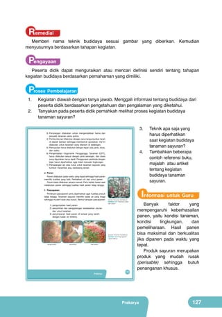 Remedial

Memberi nama teknik budidaya sesuai gambar yang diberikan. Kemudian
menyusunnya berdasarkan tahapan kegiatan.

Pengayaan

Peserta didik dapat menguraikan atau mencari definisi sendiri tentang tahapan
kegiatan budidaya berdasarkan pemahaman yang dimiliki.

Proses Pembelajaran

1.	
2.	

Kegiatan diawali dengan tanya jawab. Menggali informasi tentang budidaya dari
peserta didik berdasarkan pengetahuan dan pengalaman yang diketahui.
Tanyakan pada peserta didik pernahkah melihat proses kegiatan budidaya
tanaman sayuran?
3.	

3)	 Penyiangan	 dilakukan	 untuk	 mengendalikan	 hama	 dan	
penyakit	 tanaman	 serta	 gulma.
4)	 Pembumbunan	dilakukan	dengan	cara	mengumpulkan	tanah	
di	 daerah	 barisan	 sehingga	 membentuk	 gundukan.	 Hal	 ini	
dilakukan	 untuk	 tanaman	 yang	 ditanam	 di	 bedengan.
5)	 Pemupukan	harus	dilakukan	dengan	tepat	cara,	jenis,	dosis,	
dan	 waktu.	
6)	 Pengendalian	 Organisme	 Pengganggu	 Tanaman	 (OPT),	
harus	 dilakukan	 sesuai	 dengan	 jenis	 serangan,	 dan	 dosis	
yang	digunakan	harus	tepat.	Penggunaan	pestisida	dengan	
bijak	 harus	 diperhatikan	 agar	 tidak	 merusak	 lingkungan.
7)	 Pemasangan	 ajir	 atau	 turus	 untuk	 tanaman	 sayuran	 yang	
tumbuh	 merambat	 atau	 berbatang	 lemah.

4.	

e. Panen
Panen	dilakukan	pada	waktu	yang	tepat	sehingga	hasil	panen	
memiliki	 kualitas	 yang	 baik.	 Perhatikan	 ciri	 dan	 umur	 panen.
Panen	biasa	dilakukan	secara	manual.	Perlu	kehati-hatian	saat	
melakukan	 panen	 sehingga	 kualitas	 hasil	 panen	 tetap	 terjaga.

	

f. Pascapanen
Perlakuan	pascapanen	perlu	diperhatikan	agar	kualitas	produk	
tetap	 terjaga.	 Tanaman	 sayuran	 memiliki	 kadar	 air	 yang	 tinggi	
sehingga	mudah	rusak	atau	busuk.	Berikut	tahapan	pascapanen:
	
  

	
  

1)	 pengumpulan	 hasil	 panen
2)	 penyortiran	 dan	 penggolongan	 berdasarkan	 ukuran	
dan	 umur	 tanaman
3)	 penyimpanan	 hasil	 panen	 di	 tempat	 yang	 bersih	
dengan	 kadar	 air	 tertentu

	
  

(Sumber: Dokumen Kemdikbud)

Gambar 5.14 Tanaman cabai
siap panen

	
  

(Sumber: Dokumen Kemdikbud)

Gambar 5.15 Pascapanen
cabai keriting
pengumpulan

penyortiran

hasil panen

Prakarya

111

Teknik apa saja yang
harus diperhatikan
saat kegiatan budidaya
tanaman sayuran?
Tambahkan beberapa
contoh referensi buku,
majalah atau artikel
tentang kegiatan
budidaya tanaman
sayuran.

Informasi untuk Guru

Banyak
faktor
yang
mempengaruhi keberhasailan
panen, yaitu kondisi tanaman,
kondisi
lingkungan,
dan
pemeliharaan. Hasil panen
bisa maksimal dan berkualitas
jika dipanen pada waktu yang
tepat.
Produk sayuran merupakan
produk yang mudah rusak
(perisable) sehingga butuh
penanganan khusus.

Prakarya

127

 