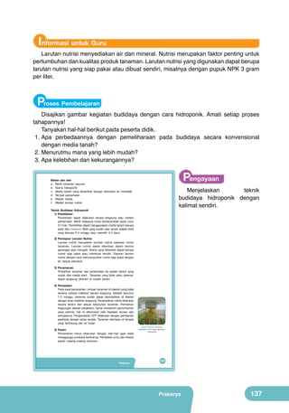 Informasi untuk Guru

Larutan nutrisi menyediakan air dan mineral. Nutrisi merupakan faktor penting untuk
pertumbuhan dan kualitas produk tanaman. Larutan nutrisi yang digunakan dapat berupa
larutan nutrisi yang siap pakai atau dibuat sendiri, misalnya dengan pupuk NPK 3 gram
per liter.

Proses Pembelajaran

Disajikan gambar kegiatan budidaya dengan cara hidroponik. Amati setiap proses
tahapannya!
Tanyakan hal-hal berikut pada peserta didik.
1.	Apa perbedaannya dengan pemeliharaan pada budidaya secara konvensional
dengan media tanah?
2.	Menurutmu mana yang lebih mudah?
3.	Apa kelebihan dan kekurangannya?

Pengayaan

Bahan dan alat
a.	 Benih	 tanaman	 sayuran
b.	 Nutrisi	 hidroponik
c.	 Media	 tanam	 yang	 disterilkan	 dengan	 direndam	 air	 mendidih
d.	 Tempat	 persemaian
e.	 Wadah	 media
f.	 Wadah	 larutan	 nutrisi.

Menjelaskan
teknik
budidaya hidroponik dengan
kalimat sendiri.

Teknik Budidaya Hidroponik
1) Pembibitan
Pembibitan	 dapat	 dilakukan	 secara	 langsung	 atau	 melalui	
persemaian.	 Benih	 biasanya	 mulai	 berkecambah	 pada	 umur	
3-7	hari.	Pembibitan	dapat	menggunakan	media	tanam	berupa	
pasir	dan	rockwool.	Bibit	yang	sudah	siap	tanam	adalah	bibit	
yang	 berusia	 3-4	 minggu	 atau	 memiliki	 3-4	 daun.
2) Persiapan Larutan Nutrisi
Larutan	 nutrisi	 merupakan	 sumber	 utama	 pasokan	 nutrisi	
tanaman.	 Larutan	 nutrisi	 dapat	 diberikan	 dalam	 bentuk	
genangan	atau	mengalir.	Nutrisi	yang	diberikan	dapat	berupa	
nutrisi	 siap	 pakai	 atau	 membuat	 sendiri.	 Siapkan	 larutan	
nutrisi	dengan	cara	mencampurkan	nutrisi	siap	pakai	dengan	
air,	 sesuai	 petunjuk.
3) Penanaman
Pindahkan	 tanaman	 dari	 persemaian	 ke	 wadah	 tanam	 yang	
sudah	 diisi	 media	 steril.	 	 Tanaman	 yang	 tidak	 perlu	 disemai,	
dapat	 langsung	 ditanam	 di	 wadah	 tanam.
4) Perawatan
Pada	awal	penanaman,	simpan	tanaman	di	daerah	yang	tidak	
terkena	 cahaya	 matahari	 secara	 langsung.	 Setelah	 berumur	
1-2	 minggu,	 tanaman	 sudah	 dapat	 dipindahkan	 di	 daerah	
dengan	sinar	matahari	langsung.	Penambahan	nutrisi	dilakukan	
secara	 teratur	 dan	 sesuai	 kebutuhan	 tanaman.	 Perhatikan	
lingkungan	daerah	perakaran,	harus	memenuhi	pertumbuhan	
yang	 optimal.	 Hal	 ini	 ditentukan	 oleh	 keadaan	 larutan	 dan	
sirkulasinya.	Pengendalian	OPT	dilakukan	dengan	pemberian	
pestisida	dengan	dosis	rendah.	Tanaman	disimpan	di	tempat	
yang	 terlindung	 dari	 air	 hujan.
5) Panen	
Pemanenan	 harus	 dilakukan	 dengan	 hati-hati	 agar	 tidak	
mengganggu	produksi	berikutnya.	Perhatikan	umur	dan	kriteria	
panen	 masing-masing	 tanaman.

Prakarya

(Sumber: Dokumen Kemdikbud)

Gambar 5.21 Akar tanaman
hidroponik

121

Prakarya

137

 