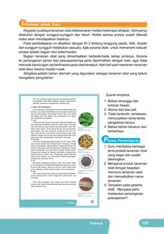 Informasi untuk Guru

Kegiatan budidaya tanaman obat dilaksanakan melalui beberapa tahapan. Semuanya
dilakukan dengan sungguh-sungguh dan tekun. Ketika semua proses sudah dilewati
maka akan mendapatkan hasilnya.
Pada pembelajaran ini dikaitkan dengan KI 2 tentang tanggung jawab, teliti, disiplin
dan sungguh-sungguh melakukan sesuatu. Ajak peserta didik untuk memahami sebuah
proses adalah bagian dari keberhasilan.
Bagian tanaman obat yang dimanfaatkan berbeda-beda setiap jenisnya. Karena
itu penanganan panen dan pascapanennya perlu diperhatikan dengan baik, agar tidak
merusak kandungan zat berkhasiat pada obat tersebut. Hati-hati saat memanen tanaman
obat daun karena mudah rusak.
Simplisia adalah bahan alamiah yang digunakan sebagai tanaman obat yang belum
mengalami pengolahan.

Syarat simplisia.
OPT dan membuang bagian tanaman yang terserang penyakit.
Pengendalian kimia dapat dilakukan dengan penyemprotan
pestisida, disarankan menggunakan pestisida alami.
e. Panen dan Pascapanen
Cara penanganan setiap jenis tanaman obat berbeda-beda. Ada
tanaman yang dapat dimanfaatkan seluruh bagian tanamannya
ada pula yang dipanen hanya bagian tertentu saja. Umur panen
dan bagian yang akan dipanen juga memengaruhi cara panen
dan pengelolaan pascapanen.
1) Daun
Pemanenan daun tanaman obat harus dilakukan dengan hatihati karena daun bertekstur lunak dan mudah rusak. Umur petik
daun tiap tanaman juga berbeda, ada yang dipanen saat daun
masih muda, seperti: kumis kucing dan teh. Ada pula tanaman
yang dipanen saat daun sudah tua, contohnya: sirih dan mint.
Daun yang dipanen untuk diambil minyak atsirinya juga harus
dilakukan dengan hati-hati dan harus langsung diolah saat masih
segar, agar tidak menghilangkan kandungan minyaknya.
2) Rimpang
Umumnya, rimpang dapat dipanen pada umur 8-12 bulan. Ketika
daun tanaman sudah mulai menguning dan mengering, rimpang
tanaman siap dipanen. Setelah dipanen, rimpang dibersihkan dari
kotoran, benda asing, serta rimpang busuk. Selanjutnya, rimpang
disortir berdasarkan umur dan ukuran rimpang. Setelah disortir,
rimpang dicuci dengan air. Sebelum dikeringkan, rimpang harus
dipotong-potong terlebih dulu. Pengeringan dapat dilakukan
dengan sinar matahari, oven, atau blower. Selama pengeringan,
seringkali ada kerusakan kimia.
3) Biji
Biji banyak mengandung tepung, protein, dan minyak. Kadar
air biji saat dipanen berbeda-beda bergantung pada umur panen
tanaman obat tersebut. Makin tua umur biji, makin rendah kadar
airnya. Sebaiknya hindari tempat lembap untuk penyimpanan.
4) Akar
Akar yang mengandung banyak air pengeringannya dilakukan
secara perlahan-lahan untuk menghindari pembusukan dan
fermentasi.

(Sumber: Teknologi pascapanen tanaman
obat; hlm. 15)

Gambar 6.7 Daun dewa

Proses Pembelajaran
(Sumber: Teknologi pascapanen tanaman
obat; hlm. 35)

Gambar 6.9 Lengkuas

(Sumber: Teknologi pascapanen tanaman
obat; hlm. 28)

Gambar 6.10 Selasih

Kamu telah mengetahui jenis, sarana, dan teknik budidaya
tanaman obat. Kamu diminta melakukan observasi dan wawancara
petani tanaman obat.

(Sumber: Teknologi pascapanen tanaman

obat; hlm. 18)
Gambar 6.11 Akar wangi

Prakarya

1.	Bebas serangga dan
kotoran hewan.
2.	Warna dan bau asli.
3.	Tidak berlendir, cendawan,
menunjukkan tanta-tanda
pengotoran lainya.
4.	Bebas bahan beracun dan
berbahaya.

141

Prakarya

1.	Guru membawa berbagai
jenis produk tanaman obat
yang segar dan sudah
dikeringkan.
2.	Mengenal produk tanaman
obat dengan kegiatan
mencium tanaman obat
dan menyebutkan nama
tanaman.
3.	Tanyakan pada peserta
didik . Mengapa perlu
melakukan penanganan
pascapanen?

157

 