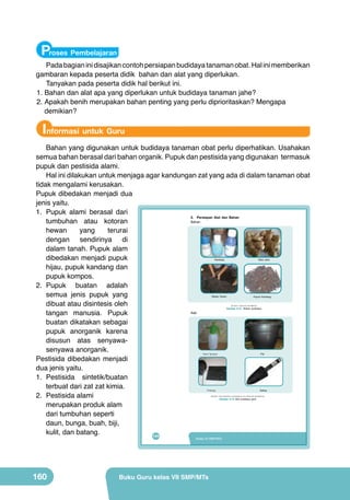 Proses Pembelajaran

Pada bagian ini disajikan contoh persiapan budidaya tanaman obat. Hal ini memberikan
gambaran kepada peserta didik bahan dan alat yang diperlukan.
Tanyakan pada peserta didik hal berikut ini.
1.	Bahan dan alat apa yang diperlukan untuk budidaya tanaman jahe?
2.	Apakah benih merupakan bahan penting yang perlu diprioritaskan? Mengapa
demikian?

Informasi untuk Guru

Bahan yang digunakan untuk budidaya tanaman obat perlu diperhatikan. Usahakan
semua bahan berasal dari bahan organik. Pupuk dan pestisida yang digunakan termasuk
pupuk dan pestisida alami.
Hal ini dilakukan untuk menjaga agar kandungan zat yang ada di dalam tanaman obat
tidak mengalami kerusakan.
Pupuk dibedakan menjadi dua
jenis yaitu.
1.	 Pupuk alami berasal dari
2. Persiapan Alat dan Bahan
Bahan
tumbuhan atau kotoran
	
  
hewan
yang
terurai
dengan sendirinya di
dalam tanah. Pupuk alam
dibedakan menjadi pupuk
hijau, pupuk kandang dan
pupuk kompos.
2.	 Pupuk buatan adalah
semua jenis pupuk yang
dibuat atau disintesis oleh
Alat
tangan manusia. Pupuk
buatan dikatakan sebagai
pupuk anorganik karena
disusun atas senyawasenyawa anorganik.
Pestisida dibedakan menjadi
dua jenis yaitu.
1.	 Pestisida sintetik/buatan
terbuat dari zat zat kimia.
2.	 Pestisida alami
merupakan produk alam
dari tumbuhan seperti
daun, bunga, buah, biji,
kulit, dan batang.
144
Pestisida

Bibit Jahe

Media Tanam

Pupuk Kandang

(Sumber: Dokumen Kemdikbud)

Gambar 6.13 Bahan budidaya

Pot

Hand Sprayer

Sekop

Polybag

(Sumber: http://berkebun-yuk.blogspot.com Dokumen Kemdikbud)

Gambar 6.14 Alat budidaya jahe

Kelas VII SMP/MTs

160

Buku Guru kelas VII SMP/MTs

 