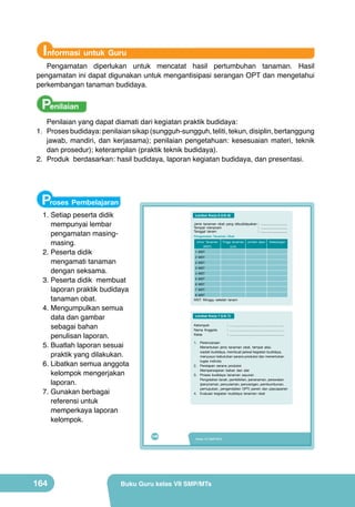 Informasi untuk Guru

Pengamatan diperlukan untuk mencatat hasil pertumbuhan tanaman. Hasil
pengamatan ini dapat digunakan untuk mengantisipasi serangan OPT dan mengetahui
perkembangan tanaman budidaya.

Penilaian
Penilaian yang dapat diamati dari kegiatan praktik budidaya:
1.	 Proses budidaya: penilaian sikap (sungguh-sungguh, teliti, tekun, disiplin, bertanggung
jawab, mandiri, dan kerjasama); penilaian pengetahuan: kesesuaian materi, teknik
dan prosedur); keterampilan (praktik teknik budidaya).
2.	 Produk berdasarkan: hasil budidaya, laporan kegiatan budidaya, dan presentasi.

Proses Pembelajaran

1.	Setiap peserta didik
mempunyai lembar
pengamatan masingmasing.
2.	Peserta didik
mengamati tanaman
dengan seksama.
3.	Peserta didik membuat
laporan praktik budidaya
tanaman obat.
4.	Mengumpulkan semua
data dan gambar
sebagai bahan
penulisan laporan.
5.	Buatlah laporan sesuai
praktik yang dilakukan.
6.	Libatkan semua anggota
kelompok mengerjakan
laporan.
7.	Gunakan berbagai
referensi untuk
memperkaya laporan
kelompok.

Lembar Kerja 6 (LK-6)
Jenis tanaman obat yang dibudidayakan : ............................
Tempat menanam
: ............................
Tanggal tanam
: ............................
Pengamatan Tanaman Obat
Umur Tanaman
(MST)

Jumlah daun

Keterangan

1 MST
2 MST
2 MST
3 MST
4 MST
5 MST
6 MST
7 MST
8 MST

MST: Minggu setelah tanam

Lembar Kerja 7 (LK-7)
Kelompok
Nama Anggota
Kelas

: …………………...…………………....
: …………………………………………
: ..........................................................

1. Perencanaan
Menentukan jenis tanaman obat, tempat atau
wadah budidaya, membuat jadwal kegiatan budidaya,
menyusun kebutuhan sarana produksi dan menentukan
tugas individu
2. Persiapan sarana produksi
Mempersiapkan bahan dan alat
3. Proses budidaya tanaman sayuran
Pengolahan tanah, pembibitan, penanaman, perawatan
(penyiraman, penyulaman, penyiangan, pembumbunan,
pemupukan, pengendalian OPT) panen dan pascapanen
4. Evaluasi kegiatan budidaya tanaman obat

148

164

Tinggi tanaman
(cm)

Kelas VII SMP/MTs

Buku Guru kelas VII SMP/MTs

 