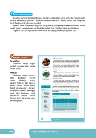 Proses Pembelajaran

Disajikan gambar berbagai tempat dengan kondisi alam yang berbeda. Peserta didik
diminta mengamati gambar. Tanyakan pada peserta didik media tanam apa yang bisa
dimanfaatkan di lingkungan tersebut.
Peserta didik melakukan kegiatan pengamatan di lingkungan sekitar sekolah. Amati
media tanam yang ada dan jumlah ketersediaannya. Tuliskan pada lembar kerja.
Tugas ini bisa dikerjakan di rumah untuk area pengamatan yang lebih luas.

K onsep Umum

3) Pecahan batu bata

Kesalahan
Tanaman hanya dapat
tumbuh menggunakan media
tanam tanah.
Faktual
Tanaman dapat tumbuh
pada
berbagai
media
tanam.
Misalnya:
arang
sekam, hidrogel dan spons.
Media tanam selain tanah
dapat dicampurkan dengan
komposisi tertentu sehingga
tepat bagi tanaman. Ingat
sesuaikan media tanam
dengan jenis tanaman yang
dibudidayakan.

	
  

(Sumber: Dokumen Kemdikbud)

Gambar 6.22 Batubata

4) Spons
Spons (floralfoam) banyak digunakan untuk budidaya tanaman
hias. Biasanya digunakan sebagai media bunga potong. Spons
memiliki daya serap air dan hara yang sangat tinggi, tetapi bahan
ini mudah lapuk dan mudah hancur ketika dipegang.
(Sumber: Dokumen Kemdikbud)

Gambar 6.23 Spons

Tugas Individu
Amati
1. Media tanam
apa saja
yang tersedia
di daerahmu?
2. Bagaimana
ketersediaan
media tanam
tersebut,
apakah
banyak,
cukup, atau
kurang?
Tuliskan
pada tabel di
samping ini.
(Lihat LK-8)

152

168

Batu bata yang digunakan sebagai media sebaiknya berukuran
kecil, seperti kerikil. Fungsinya agar batu bata dapat menyerap
air dan unsur hara dengan baik. Selain itu, kelembapan dan
sirkulasi udara di sekitar tanaman juga makin baik. Batu bata
miskin unsur hara. Oleh karena itu, biasanya diletakkan di dasar
pot karena drainase dan aerasinya baik. Batu bata juga harus
dicampurkan dengan bahan lainnya untuk memenuhi kebutuhan
hara tanaman.

5) Vermikulit dan Perlit
Vermikulit adalah bahan anorganik steril yang berasal dari
pemanasan kepingan-kepingan mika. Bahan ini mengandung
kalium. Vermikulit dapat meningkatkan daya serap air bila
digunakan sebagai bahan campuran media tanam.
Penjelasan di atas bisa menambah wawasanmu tentang berbagai
media tanam. Ternyata begitu banyak bahan yang bisa digunakan
sebagai media tanam. Hal ini merupakan anugerah Tuhan Yang Maha
Esa yang patut kamu syukuri. Sekarang saatnya kamu mengamati
potensi daerahmu.
Lembar Kerja 8 (LK-8)
Nama siswa :..................................................................................
Kelas
No.

:..................................................................................
Jenis media tanam

Ketersedian
Banyak

Cukup

Kurang

1.
2.
3.
Berdasarkan pengamatanmu, media tanam apa yang
paling banyak di daerahmu?___________________________

Kelas VII SMP/MTs

Buku Guru kelas VII SMP/MTs

 