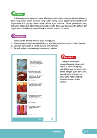 Penilaian
Kulit jagung mudah ditemui di pasar. Mintalah peserta didik untuk membawa kulit jagung
baik yang masih basah maupun yang sudah kering. Guru dapat mendemonstrasikan
bagaimana kulit jagung dapat diberi warna agar menarik. Teknik perebusan yang
dilakukan sebaiknya diperlihatkan kepada peserta didik agar peserta didik paham dan
dapat mempraktekkannya sendiri baik di sekolah maupun di rumah.

Pengayaan
Peserta didik diminta mencari tahu, mengetahui.
1.	 Bagaimana memberi warna kulit jagung agar bergradasi warnanya, 2 atau 3 warna.
2.	 Lakukan percobaan di rumah, secara berkelompok.
3.	 Tampilkan laporannya dengan presentasi di kelas.

Remedial

2) Pilah lembaran pertama sampai
ketiga merupakan lembaran
kualitas terbaik, biasanya untuk
daun bunga. Lembaran keempat
sampai keenam, warna daun
lebih muda/cerah.
	
  

Peserta didik dapat
mengembangkan observasi
ke pasar tradisional yang
memiliki tempat penampungan
bahan pangan buah dan sayur.
Identifikasi jenis buah dan
sayur yang hasil samping/
limbahnya dapat diolah
kembali.

(Sumber: Dokumen Kemdikbud)

3) Kulit jagung direbus dengan
pewarna atau wantek selama
satu jam agar warna terserap
merata. Saat kulit jagung direbus,
sebaiknya dibolak balik agar
semua kulit jagung terkena
pewarna.
	
  

(Sumber: Dokumen Kemdikbud)

4) Kulit jagung ditiriskan, lalu dijemur
tanpa sinar matahari langsung
agar kulit jagung tidak pecah.

(Sumber: http://mamahtira.blogspot.com)

5) Kulit jagung yang sudah kering
lalu disetrika dengan suhu
sedang, lalu dapat dibuat pola
atau benda kerajinan.

	
  

	
  

(Sumber: Dokumen Kemdikbud)

6) Kulit jagung dapat digunakan
sebagai kemasan produk
kerajinan.

(Sumber: Dokumen Kemdikbud)

Prakarya

221

Prakarya

237

 