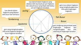 Juring
Tali Busur
Busur
Tembereng
Apotema
∟
garis lengkung yang terletak pada
lengkungan lingkaran dan
menghubungkan dua titik
sebarang di lengkungan tersebut
garis lurus dalam lingkaran
yang menghubungkan dua
titik pada lengkungan
lingkaran.luas daerah dalam
lingkaran yang dibatasi
oleh busur dan tali busur
luas daerah dalam lingkaran yang
dibatasi oleh dua buah jari-jari lingkaran
dan sebuah busur yang diapit oleh kedua
jari-jari lingkaran tersebut.
garis yang menghubungkan
titik pusat lingkaran dengan tali
busur lingkaran tersebut
 