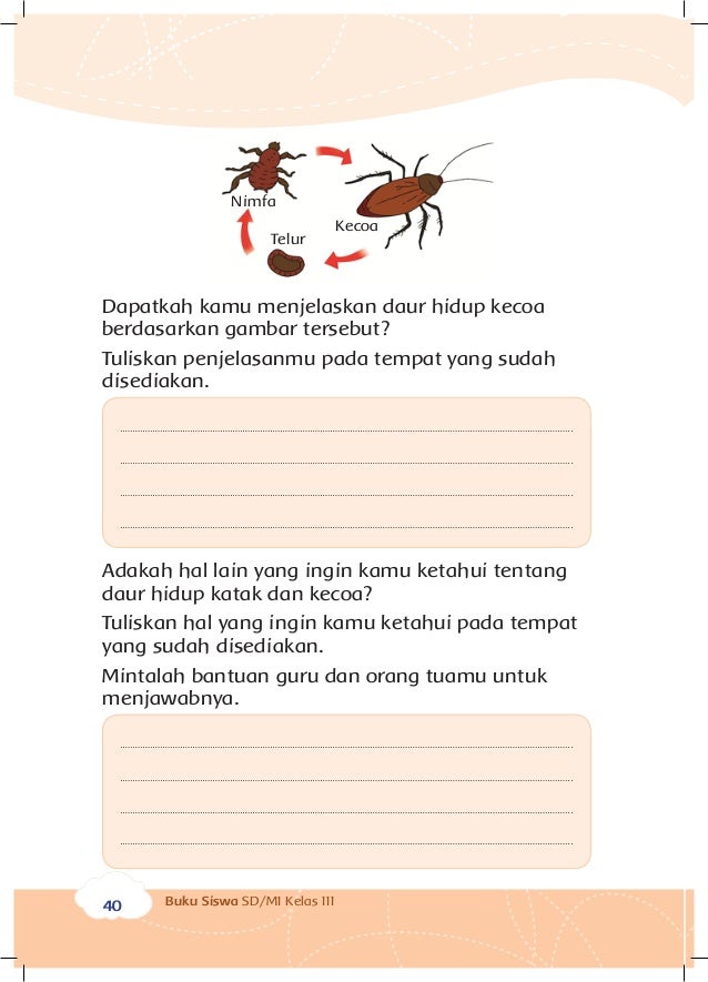 30+ Tuliskan keterangan pada siklus hidup hewan nyamuk dan jelaskan terbaru