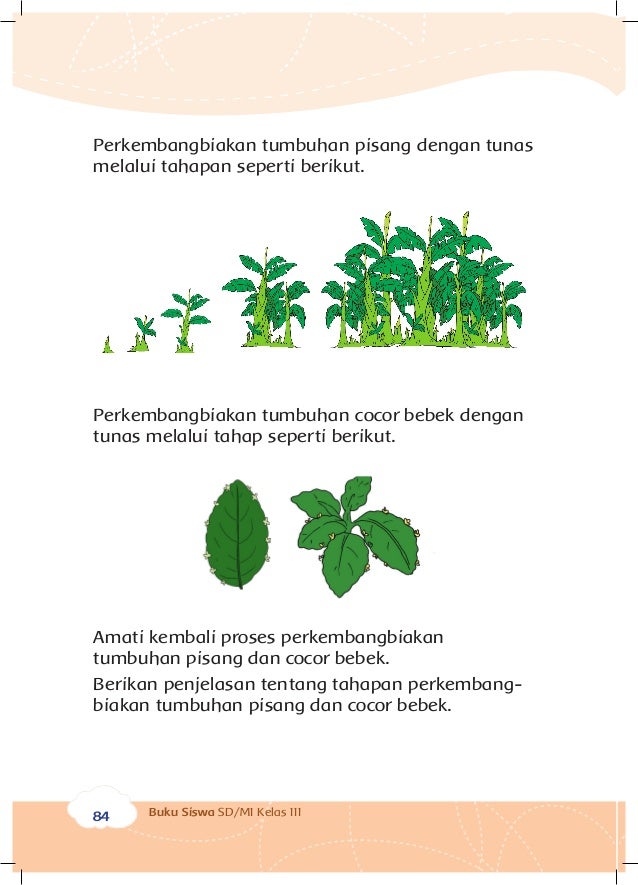 Perkembangbiakan Hewan dan Tumbuhan Kelas 3 tema1 Buku Siswa